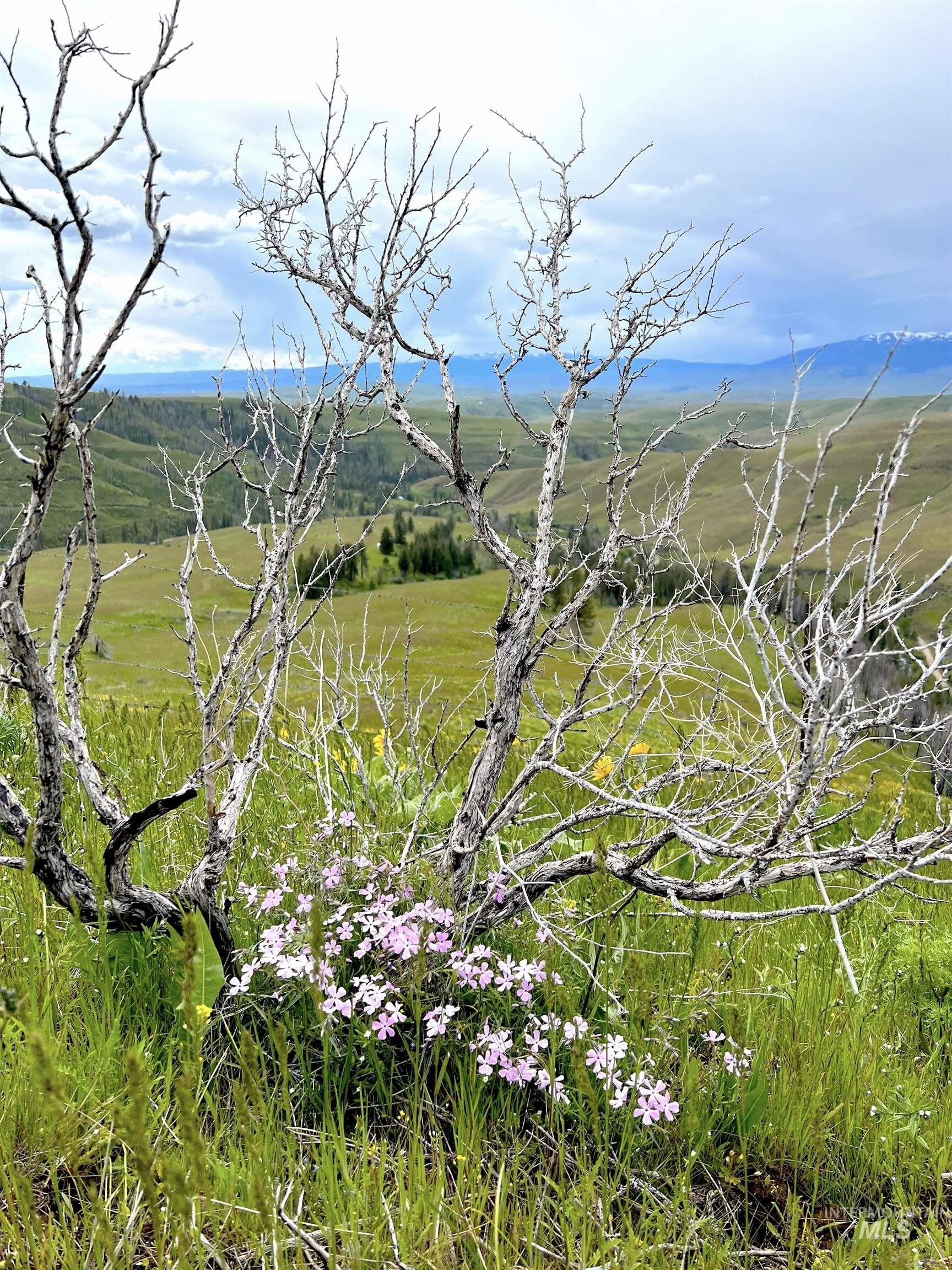 Council, Idaho, 83612, United States, ,Residential,For Sale,1921921