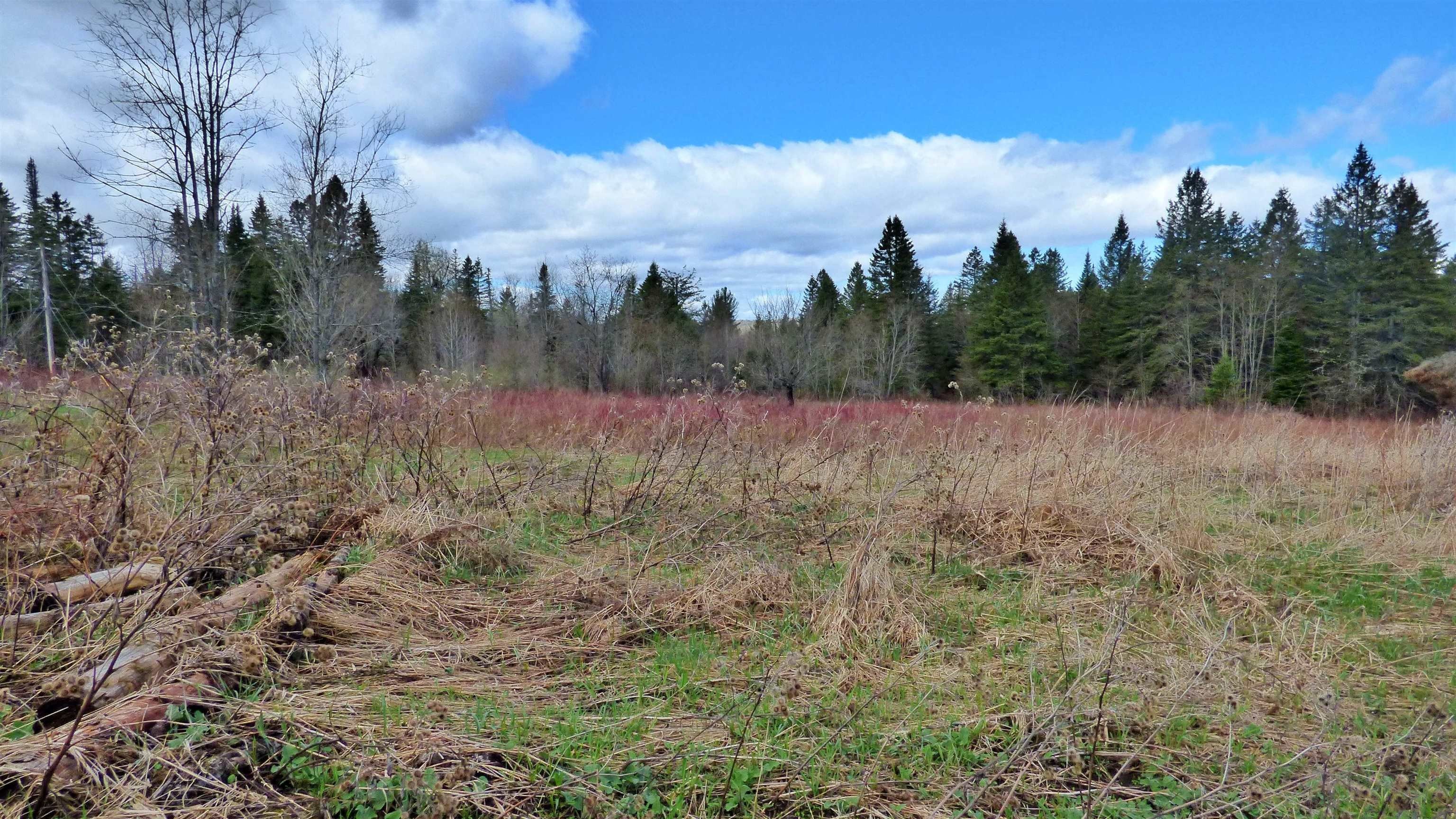 Wheelock, Vermont, 05851, United States, ,Land,For Sale,2017669