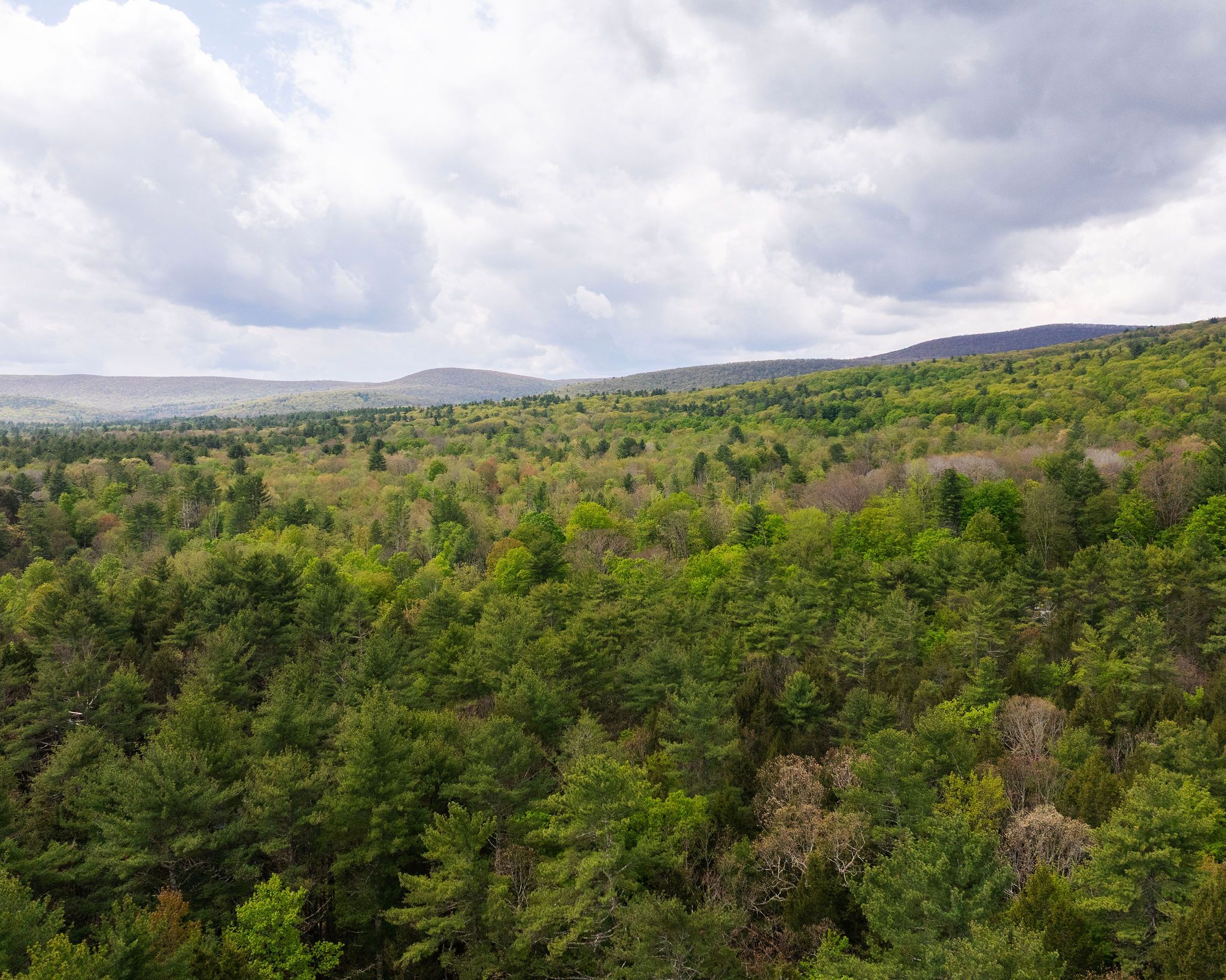  2013 County Road 3, Olivebridge, NY, 12461 - 物件實景