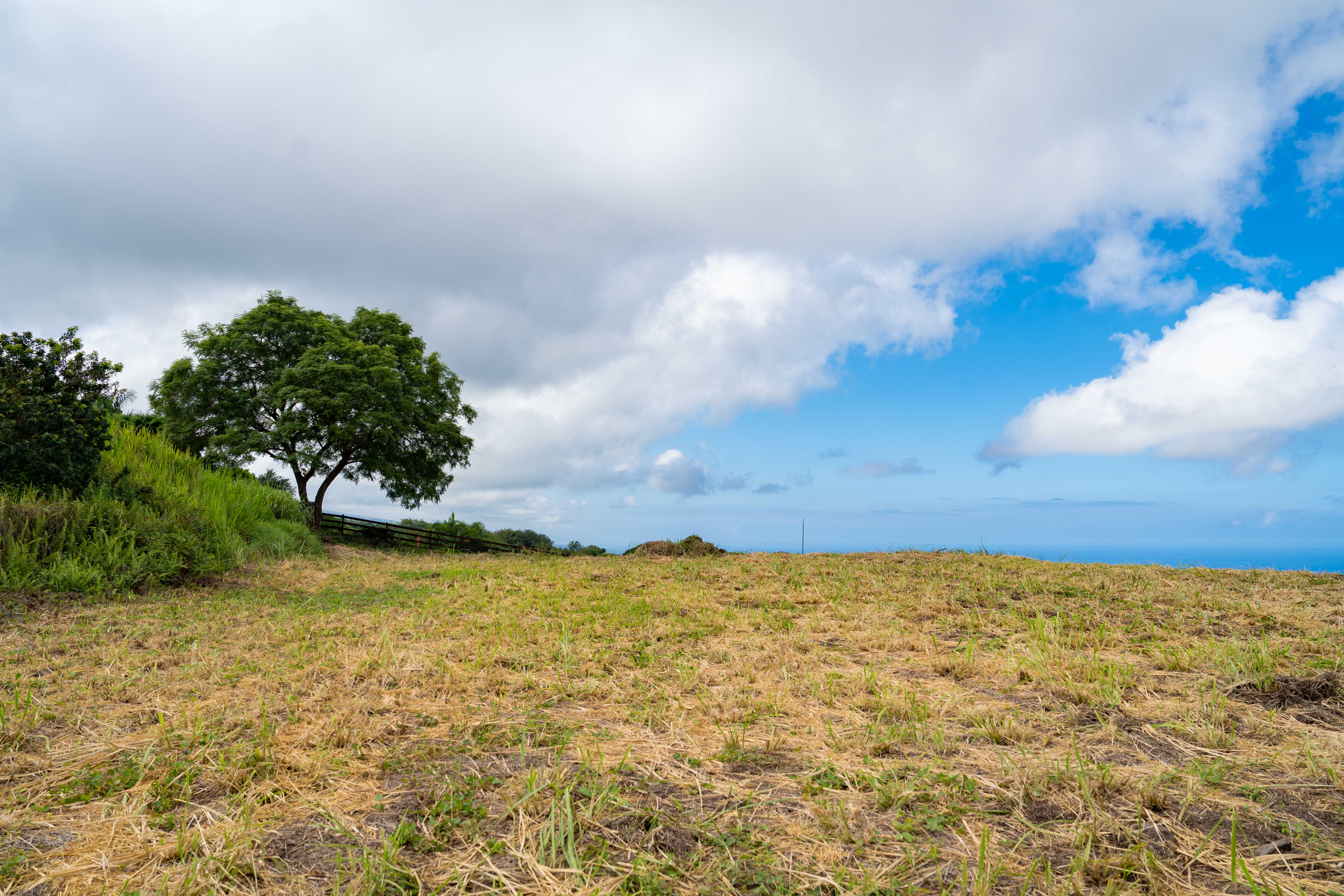 Kailua Kona, Hawaii, 96740, United States, ,Land,For Sale,1993447