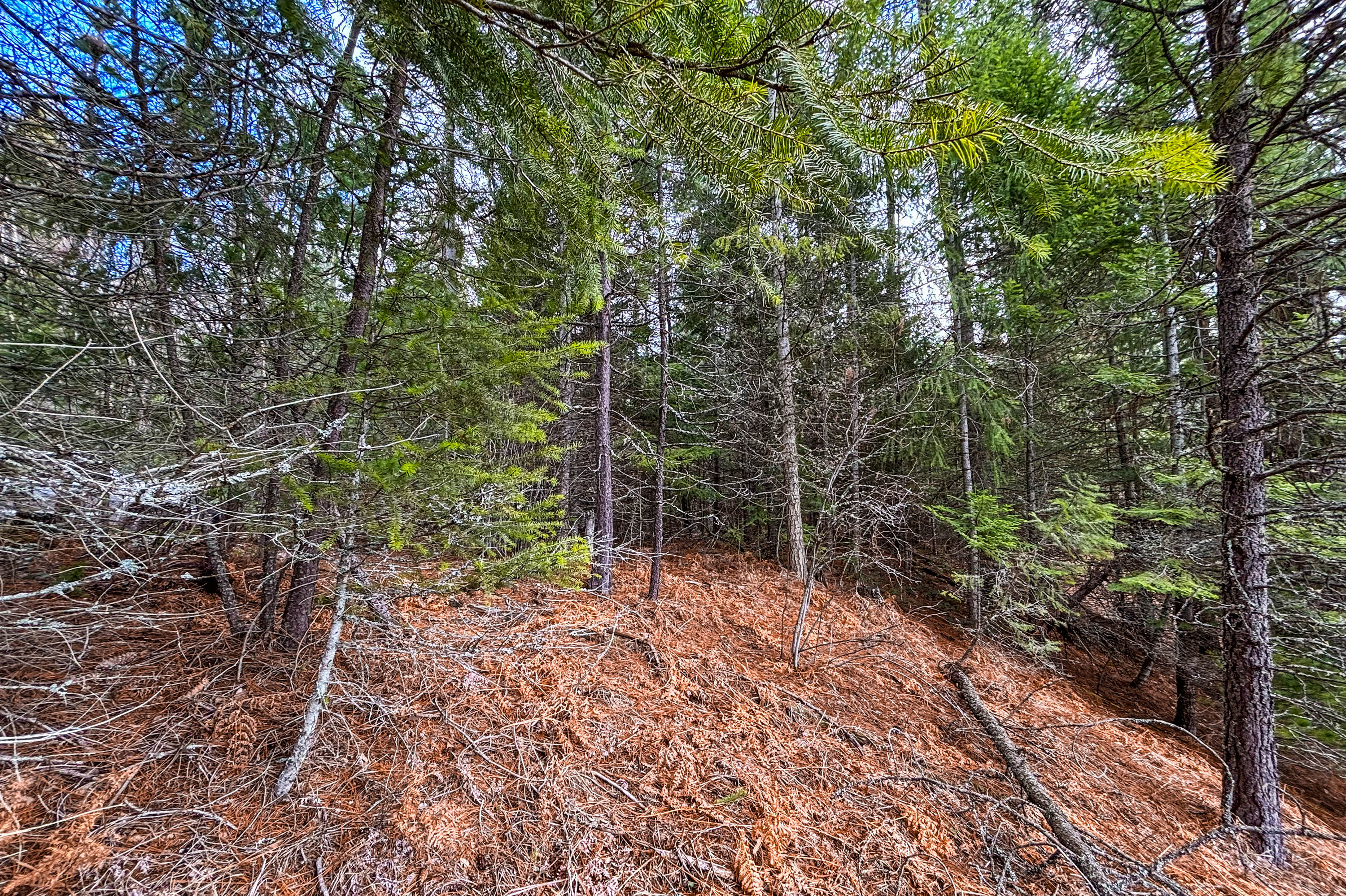 Sandpoint, Idaho, 83864, United States, ,Land,For Sale,2016068