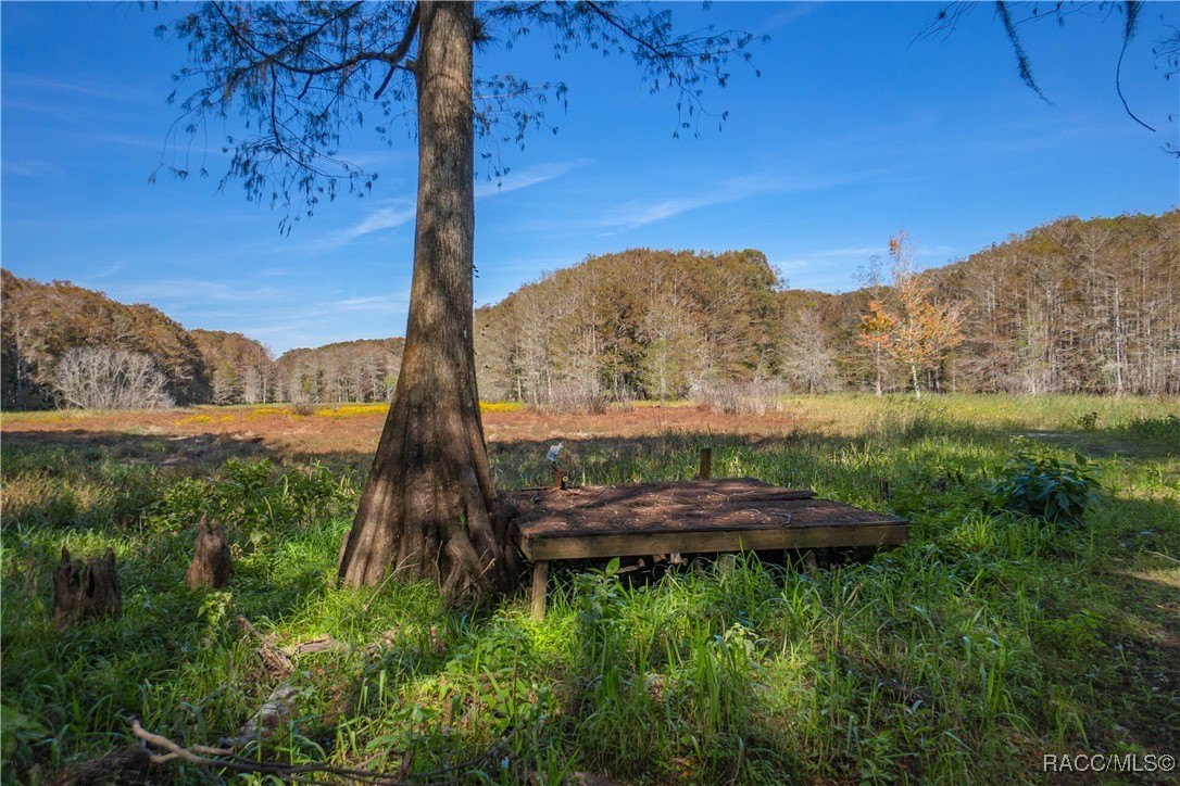 Inverness, Florida, 34450, United States, 4 Bedrooms Bedrooms, ,7 BathroomsBathrooms,Residential,For Sale,2005409