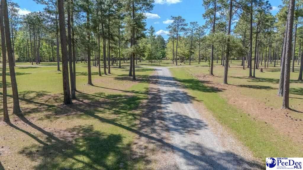 1315 Hill Harrell Road, Effingham, South Carolina, 29541-3179, United States, ,Land,For Sale,1315 Hill Harrell Road,1501598
