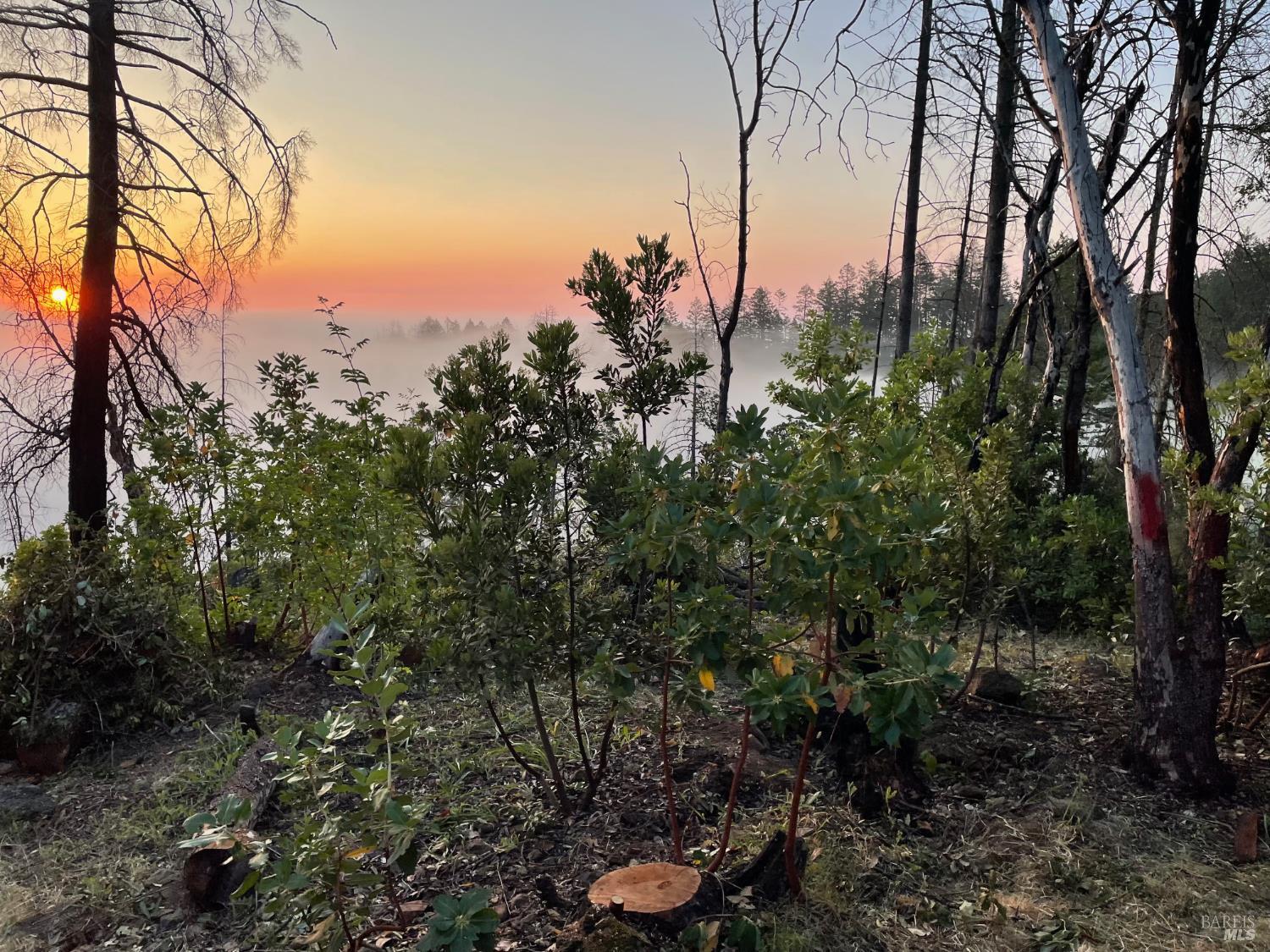 St. Helena, California, 94574, United States, 2 Bedrooms Bedrooms, ,2 BathroomsBathrooms,Residential,For Sale,1975213