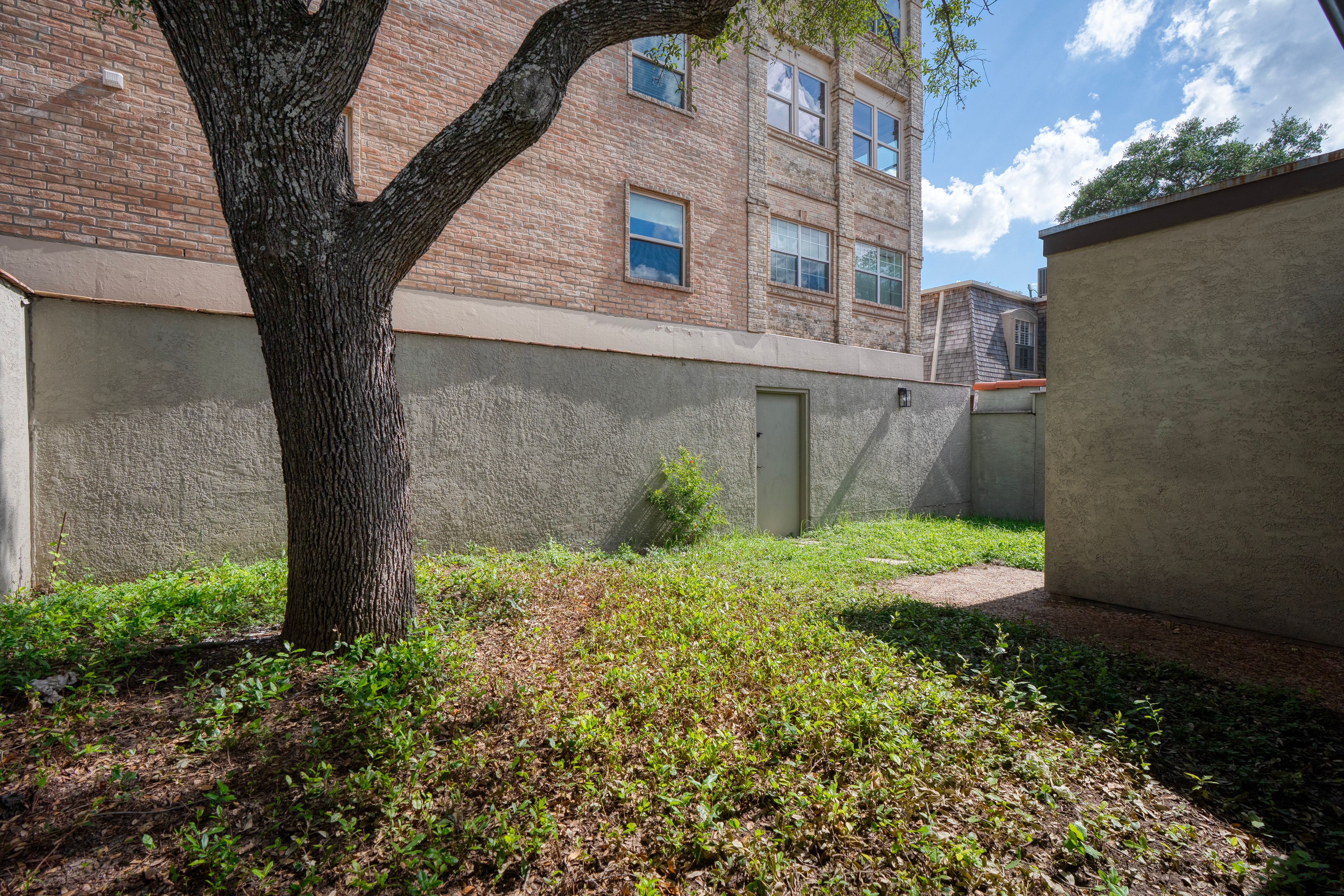  Refined Townhome in Alamo Heights - 物件實景