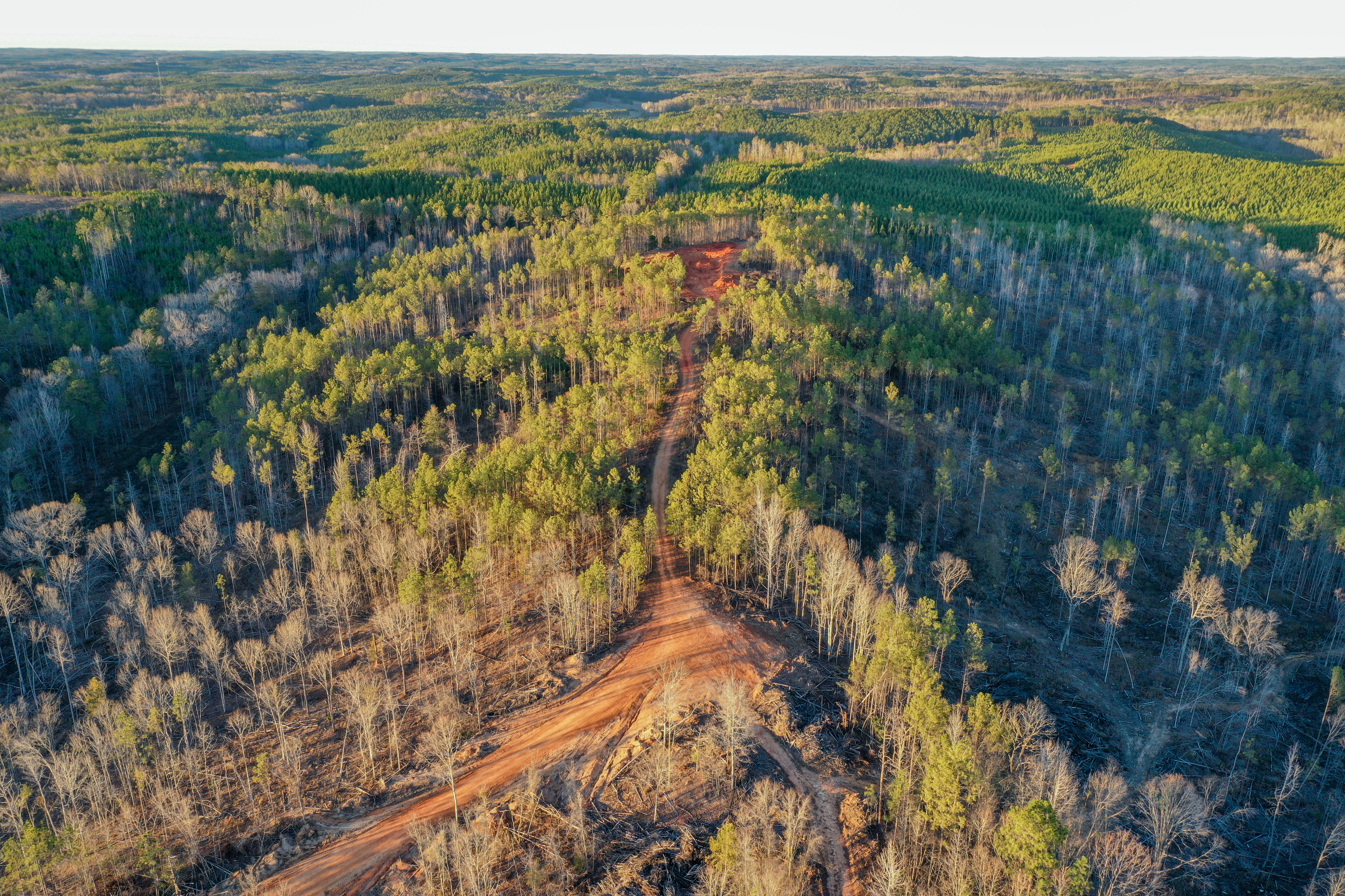Centreville, Alabama, 35042, United States, ,Land,For Sale,2010430