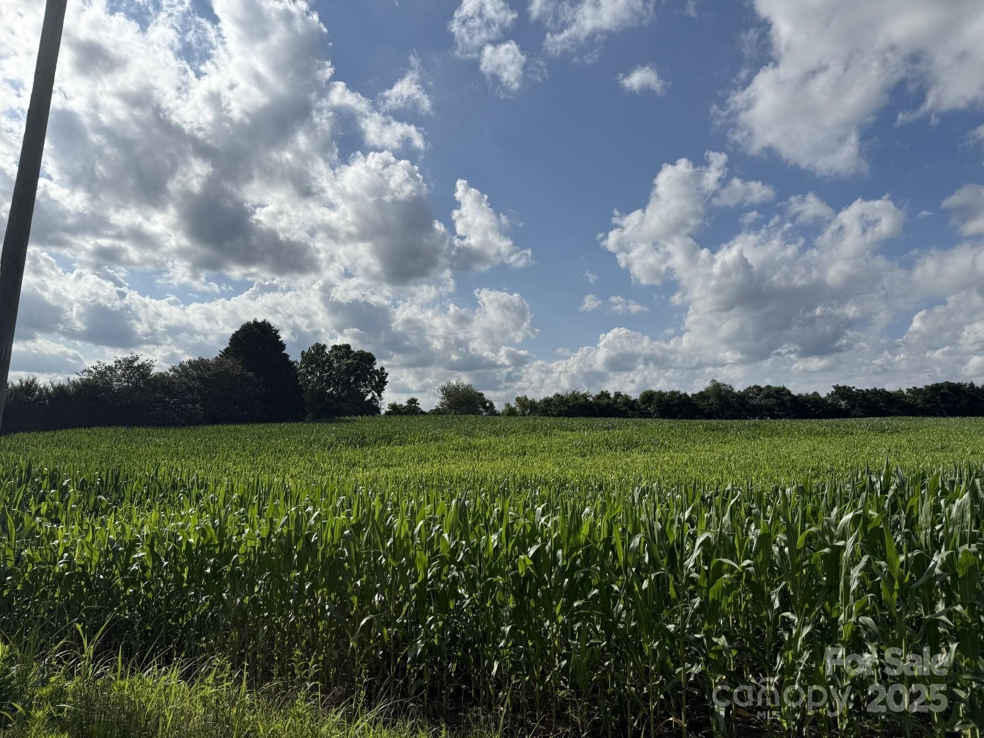 Mount Pleasant, North Carolina, 28124, United States, ,Residential,For Sale,1880803