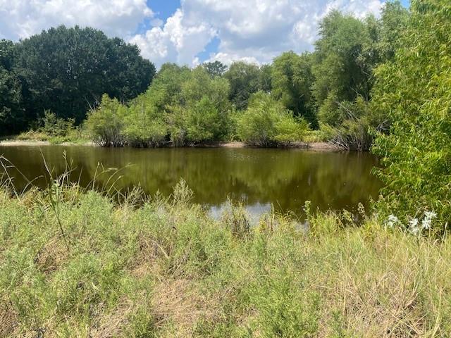 Commerce, Texas, 75428, United States, 7 Bedrooms Bedrooms, ,6 BathroomsBathrooms,Residential,For Sale,1984183