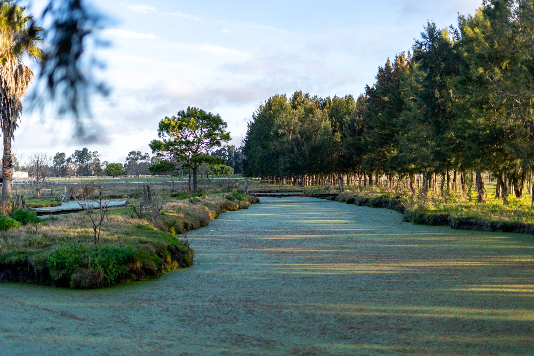  NAHUEL Stud Farm - 物件實景