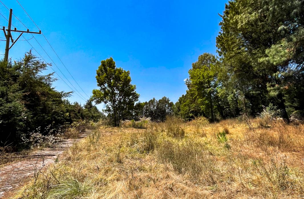 Valle de Bravo, Estado de México, 51200, Mexico, 1 Bedroom Bedrooms, ,Residential,For Sale,1721349
