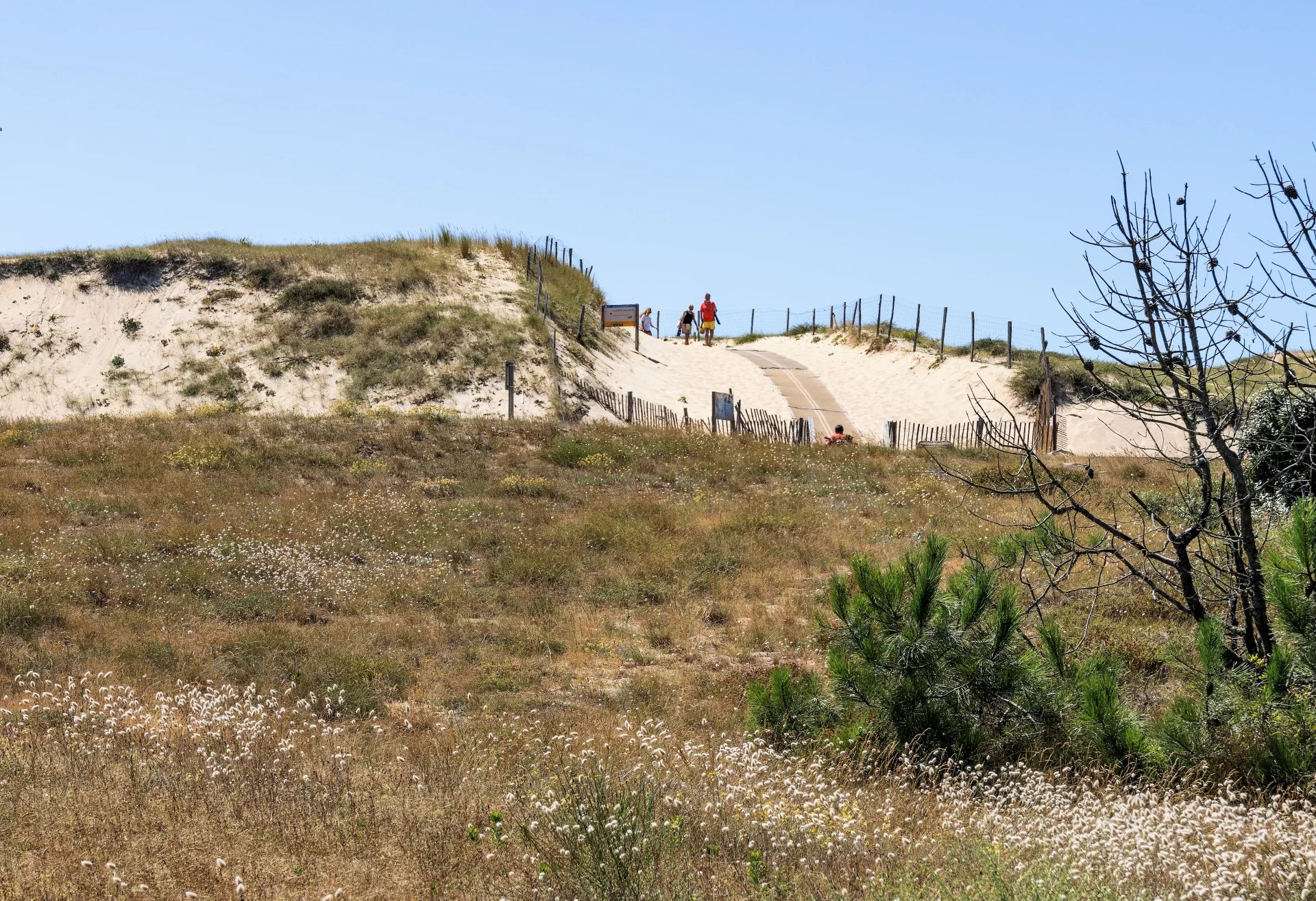 Hossegor, New Aquitaine, 40150, FR, 5 Bedrooms Bedrooms, ,3 BathroomsBathrooms,Residential,For Sale,1997300