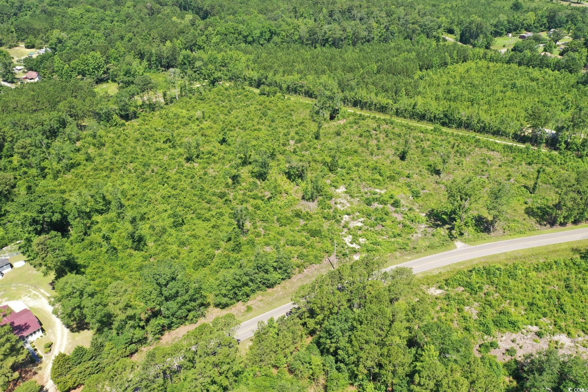 Longs, South Carolina, 29568, United States, ,Land,For Sale,1976577