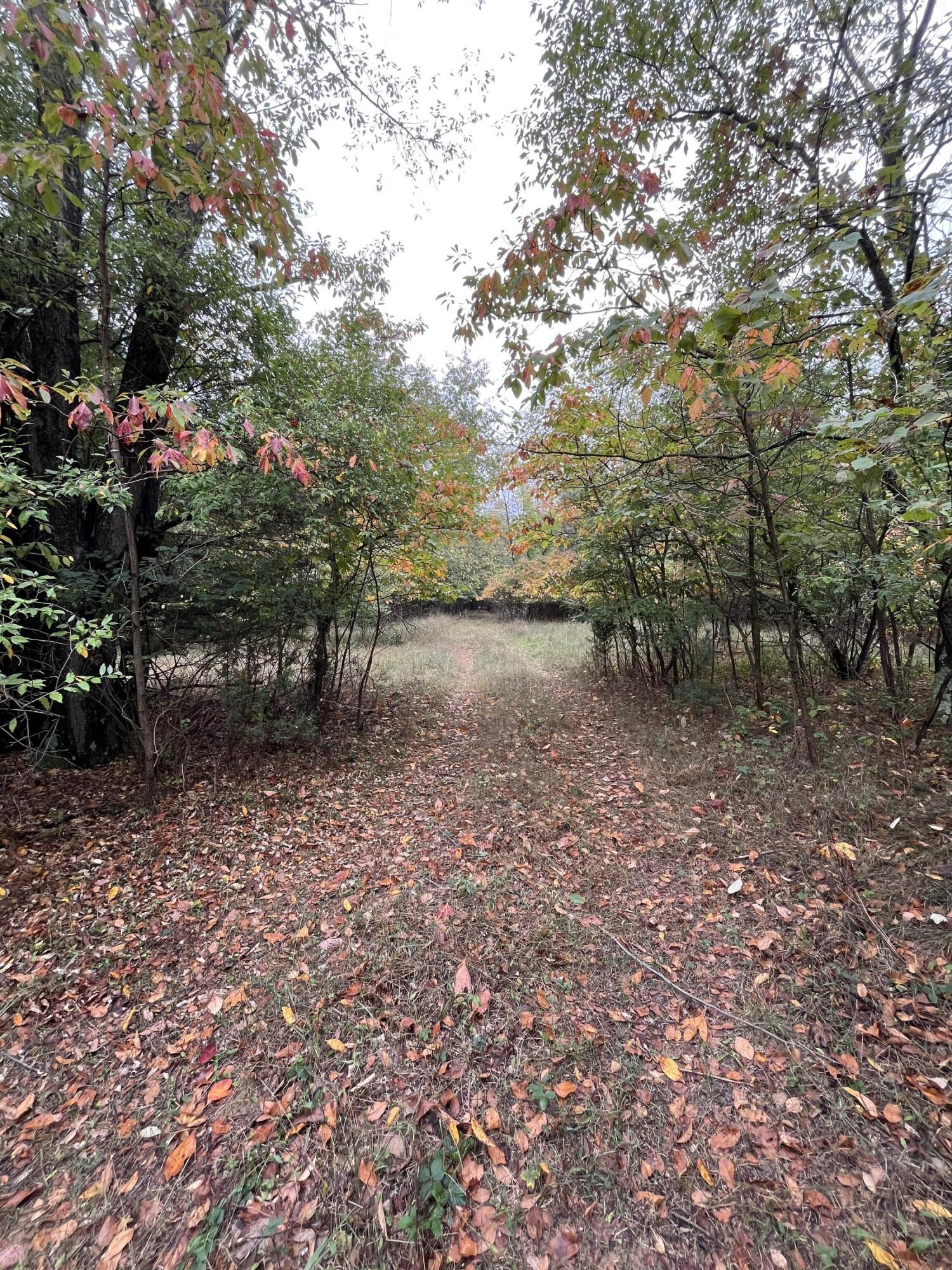 Holland, Michigan, 49423, United States, ,Land,For Sale,1984498