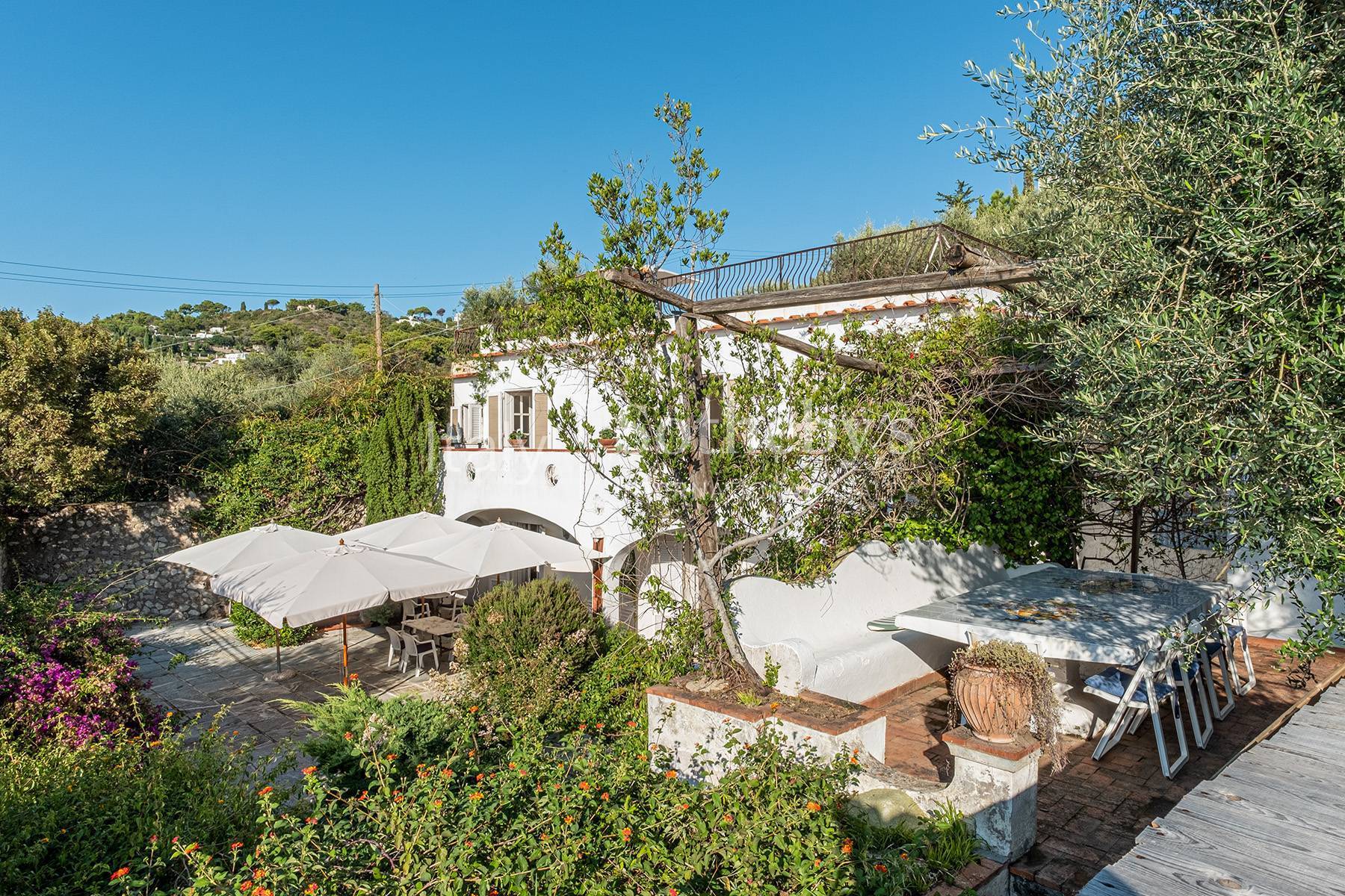  Charming villa with olive grove and swimming pool overlooking the sea - 物件實景