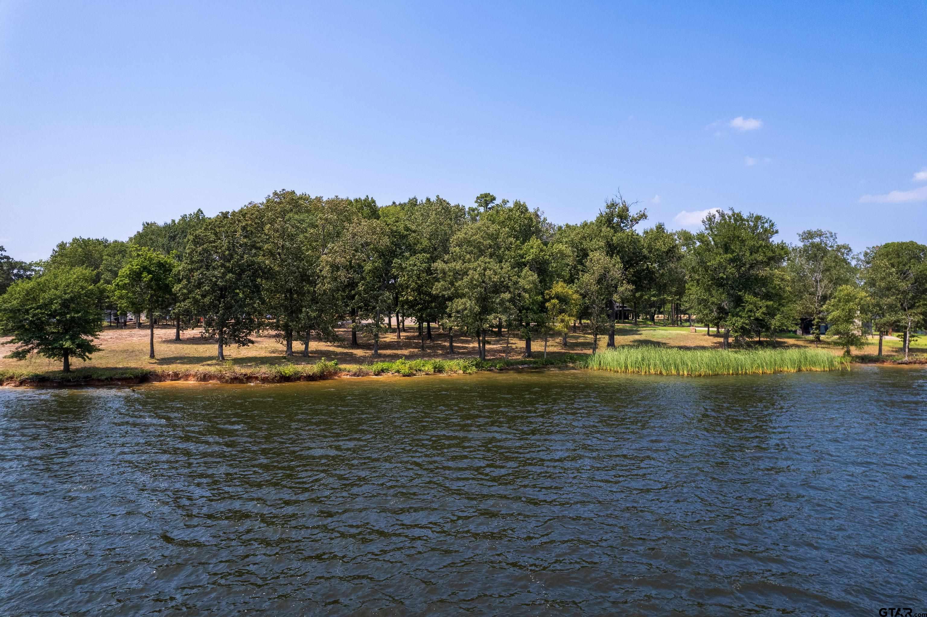 Mt Vernon, Texas, 75457, United States, ,Land,For Sale,1982226