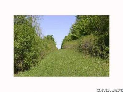 0000 Split Rock Road, Camillus, New York, 13031, United States, ,Land,For Sale,0000 Split Rock Road,1431057