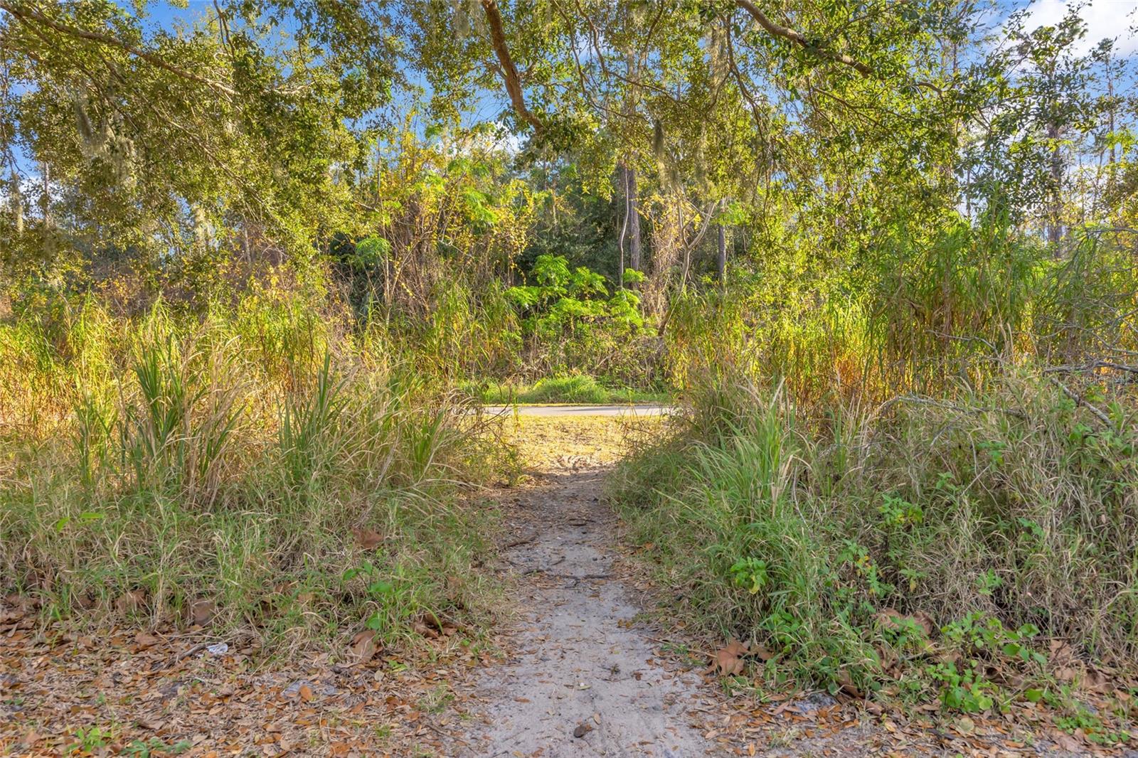WINTER GARDEN, Florida, 34787, United States, 4 Bedrooms Bedrooms, ,4 BathroomsBathrooms,Residential,For Sale,2014519