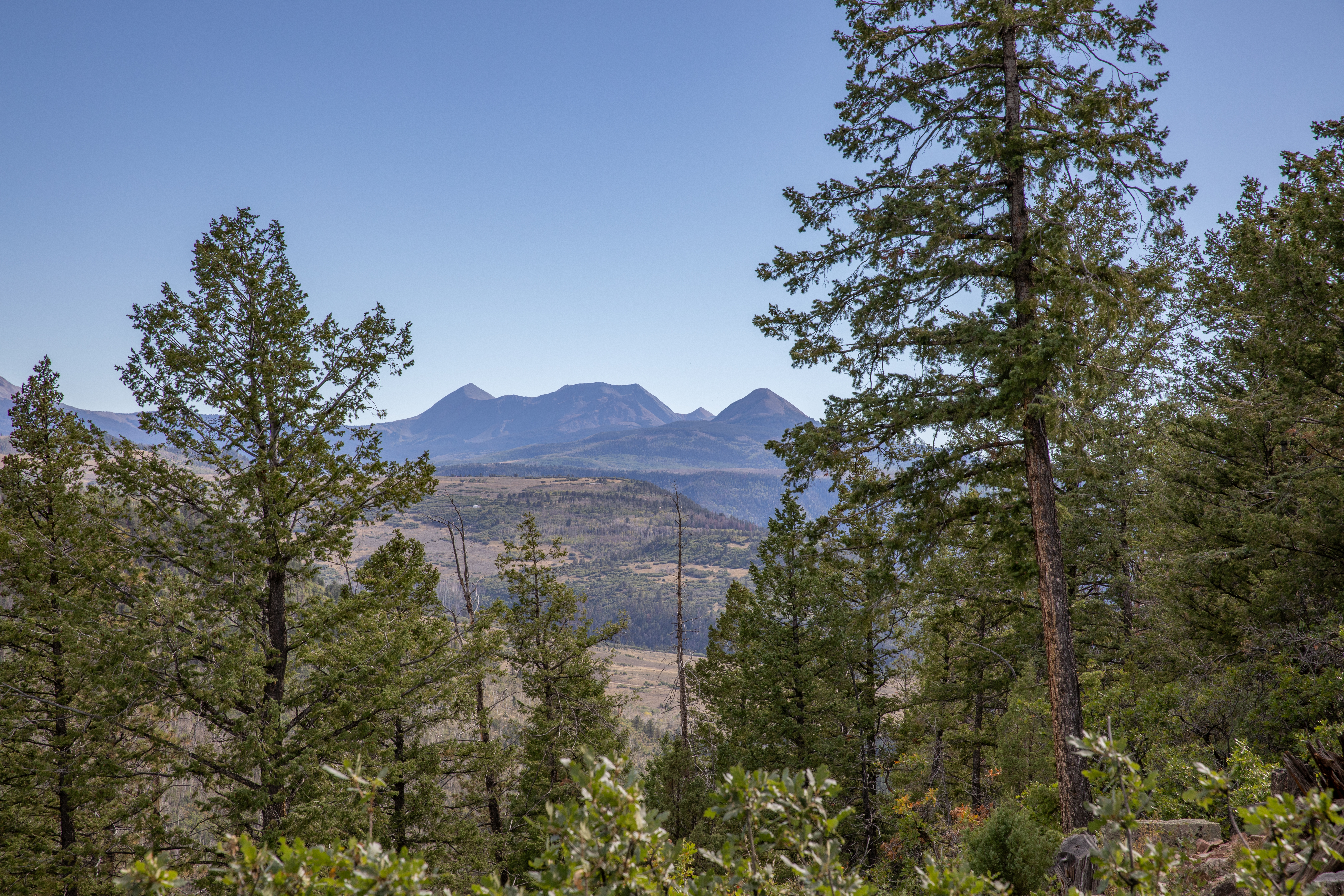  Build Ready Parcel in Eagle Ridge with Views of Mt. Sneffels and Mt. Wilson - 物件實景