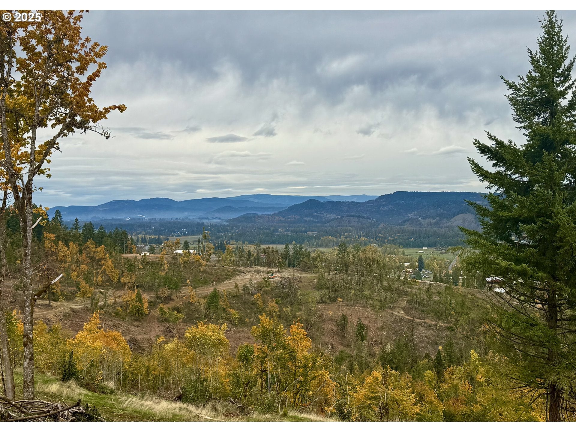 PleasantHill, Oregon, 97455, United States, ,Land,For Sale,1994840