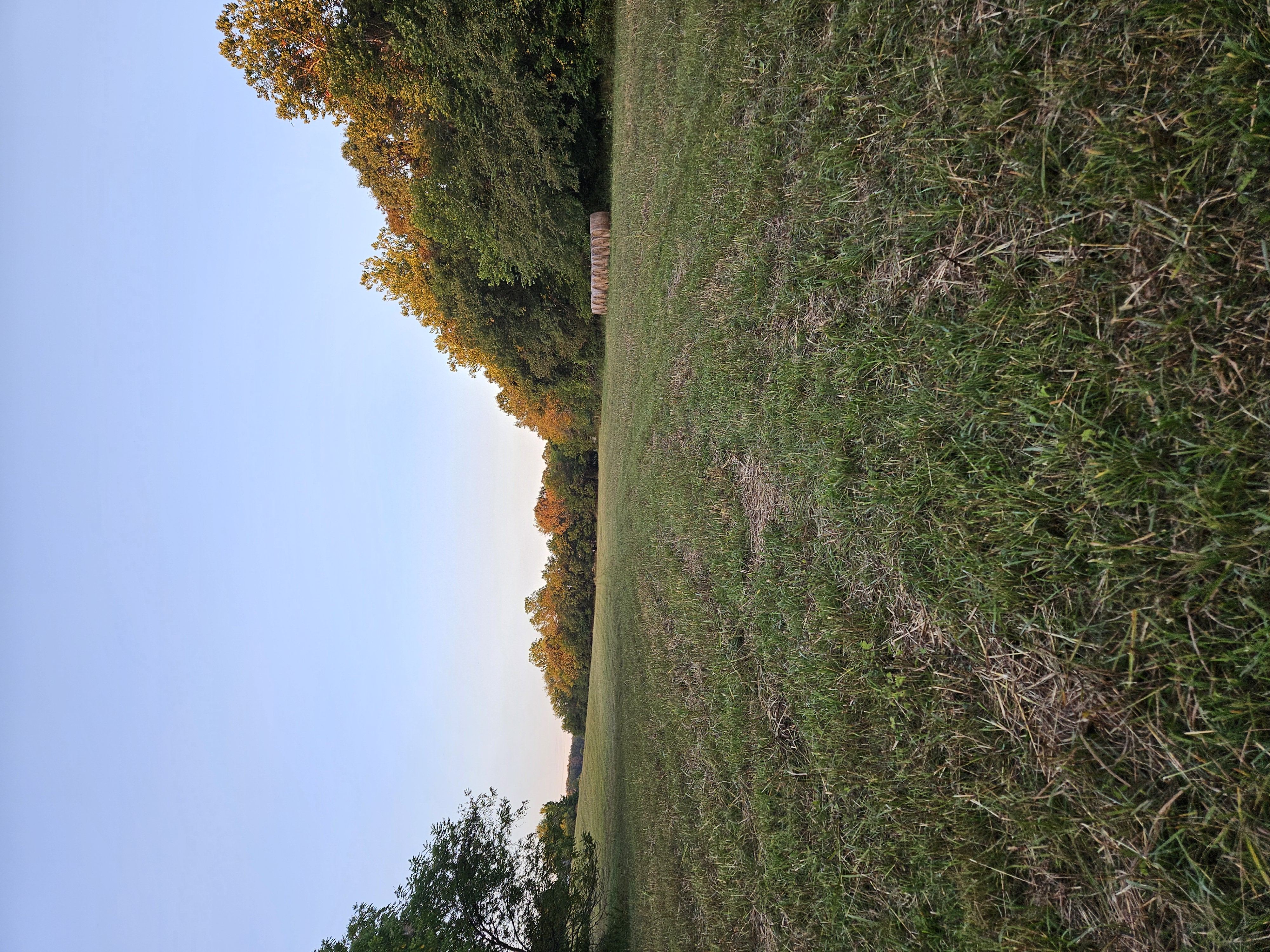 Pierce City, Missouri, 65723, United States, 5 Bedrooms Bedrooms, ,3 BathroomsBathrooms,Residential,For Sale,1975319