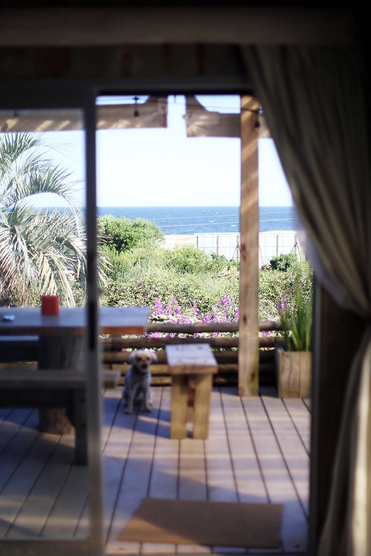  Exclusive Residence in Punta Piedras with Sea View - 物件實景