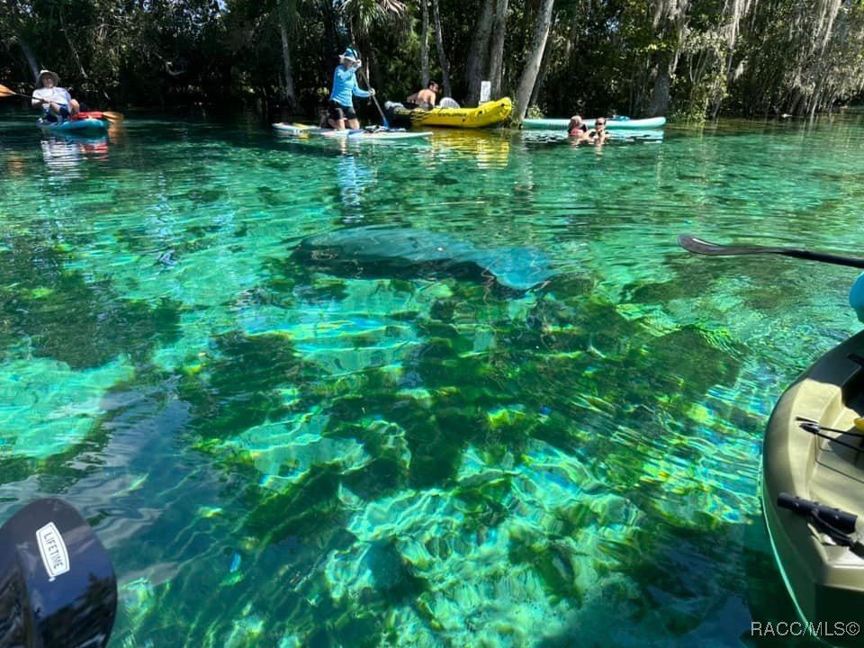 Crystal River, Florida, 34429, United States, 2 Bedrooms Bedrooms, ,4 BathroomsBathrooms,Residential,For Sale,2005515