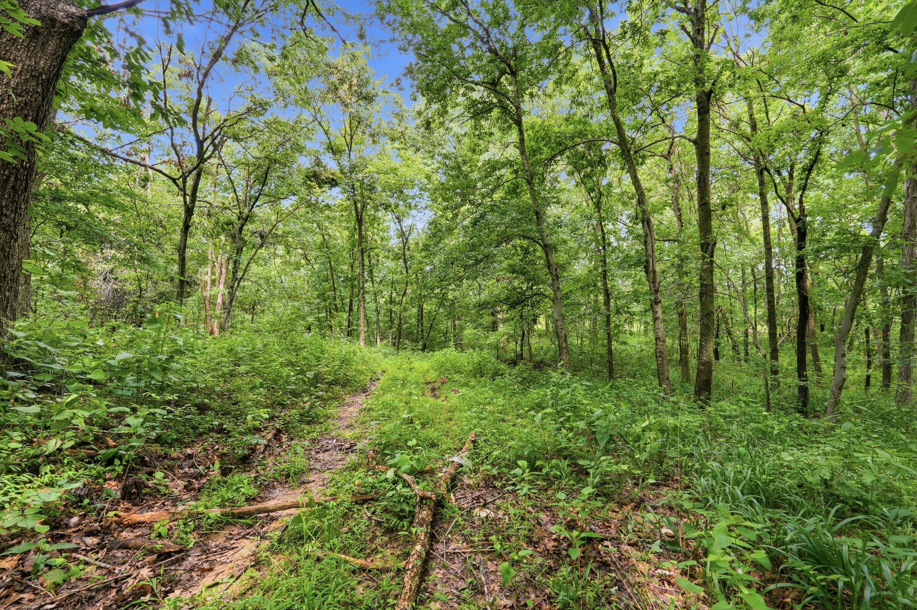  3850 Smith Lane, La Grange, KY 40031 - 物件實景