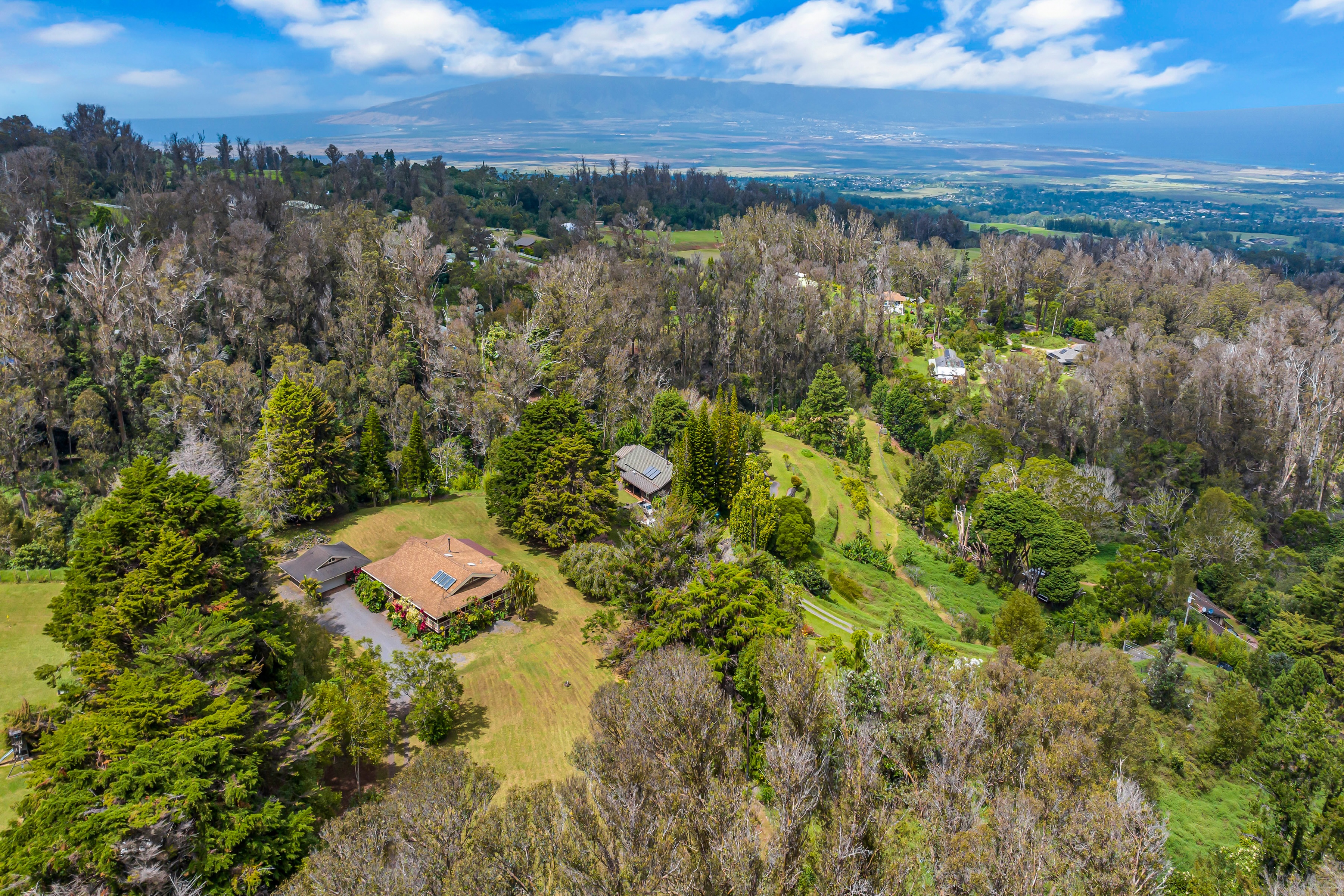  Single-level home on 2.5 fully fenced and gated acres - 物件實景