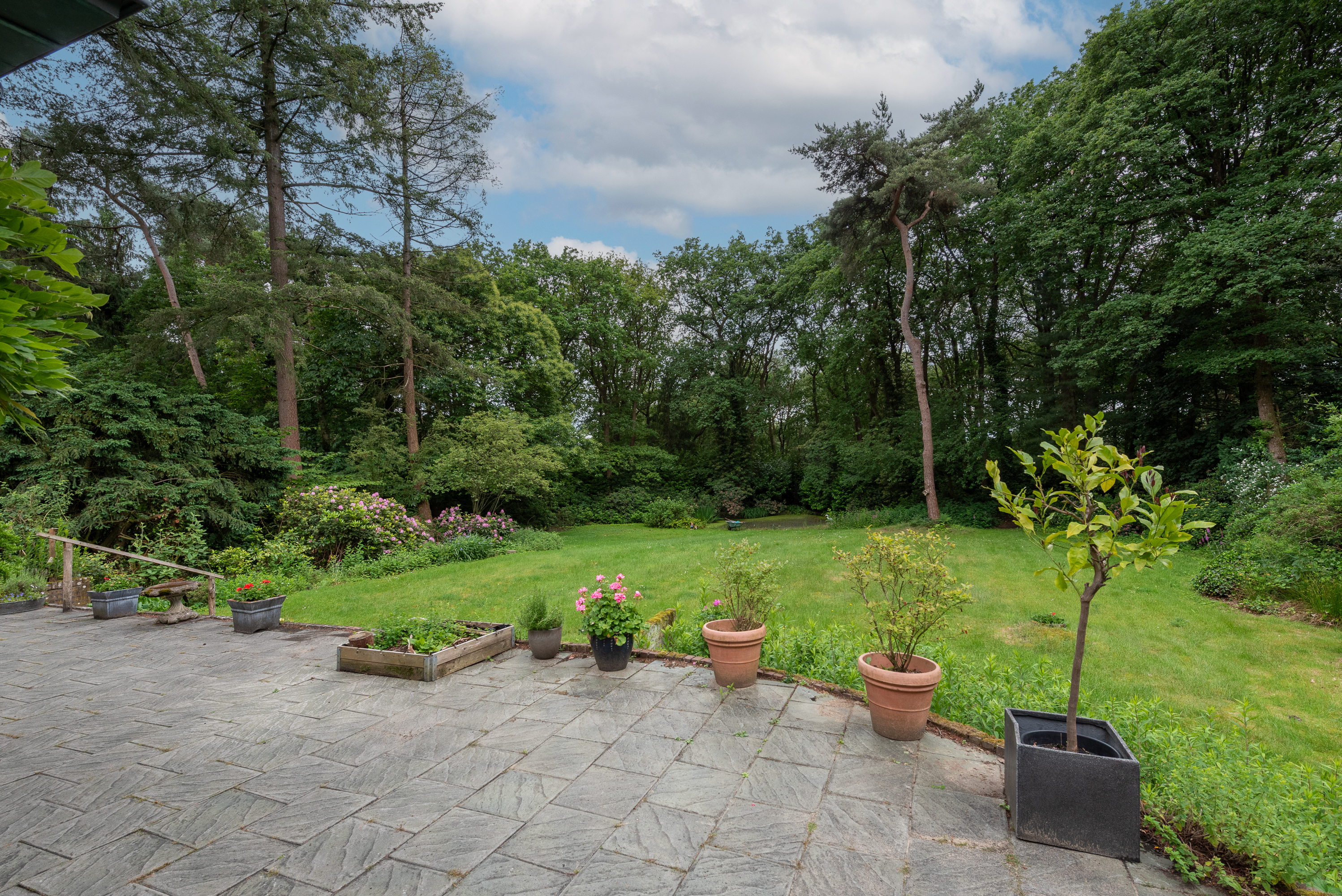  Hidden Woodland Estate with Exceptional Privacy on the Utrechtse Heuvelrug - 物件實景
