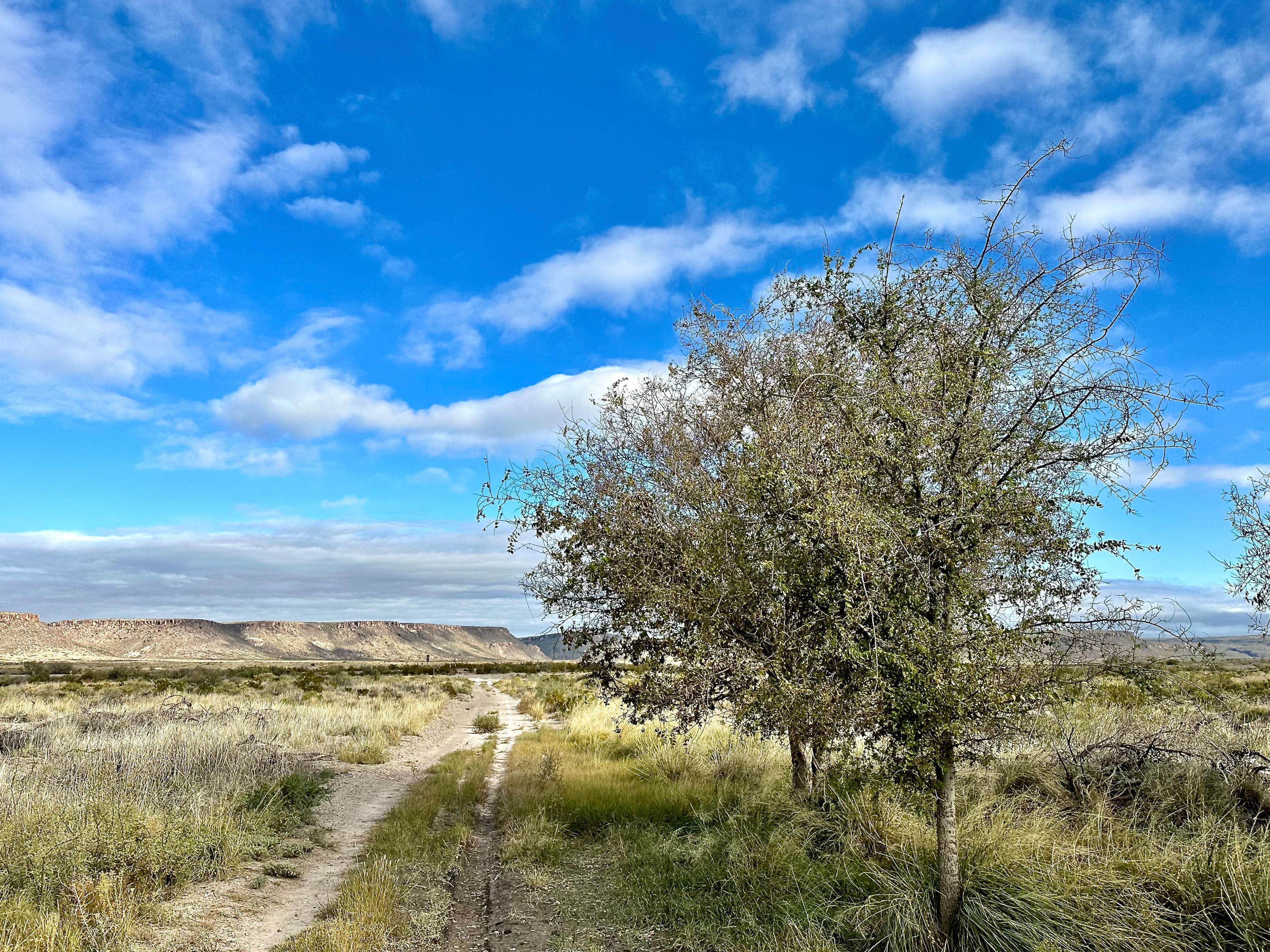  The Alamito Ranch in Presidio County - 物件實景