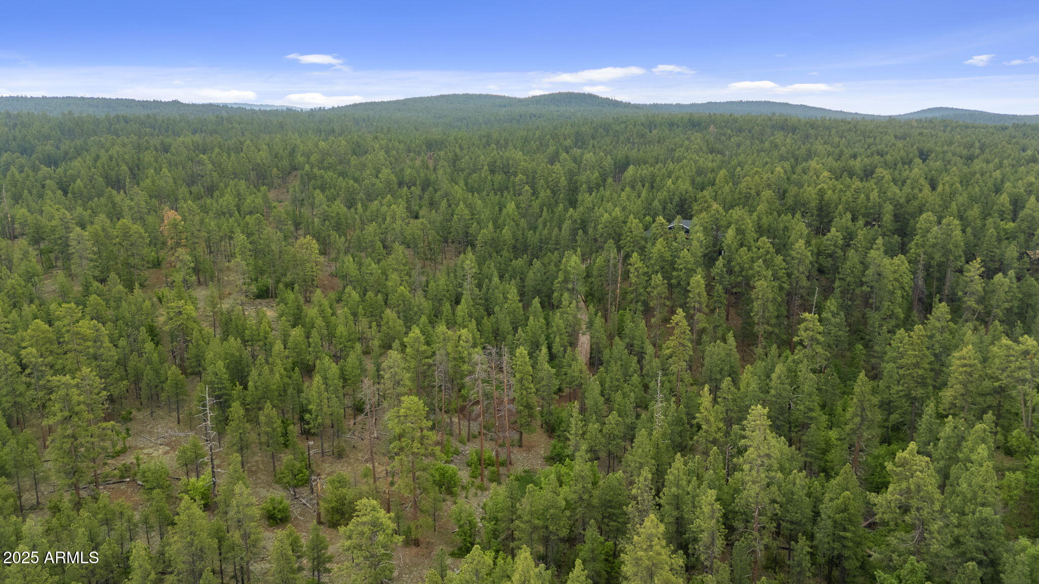 Munds Park, Arizona, 86017, United States, ,Land,For Sale,1865500
