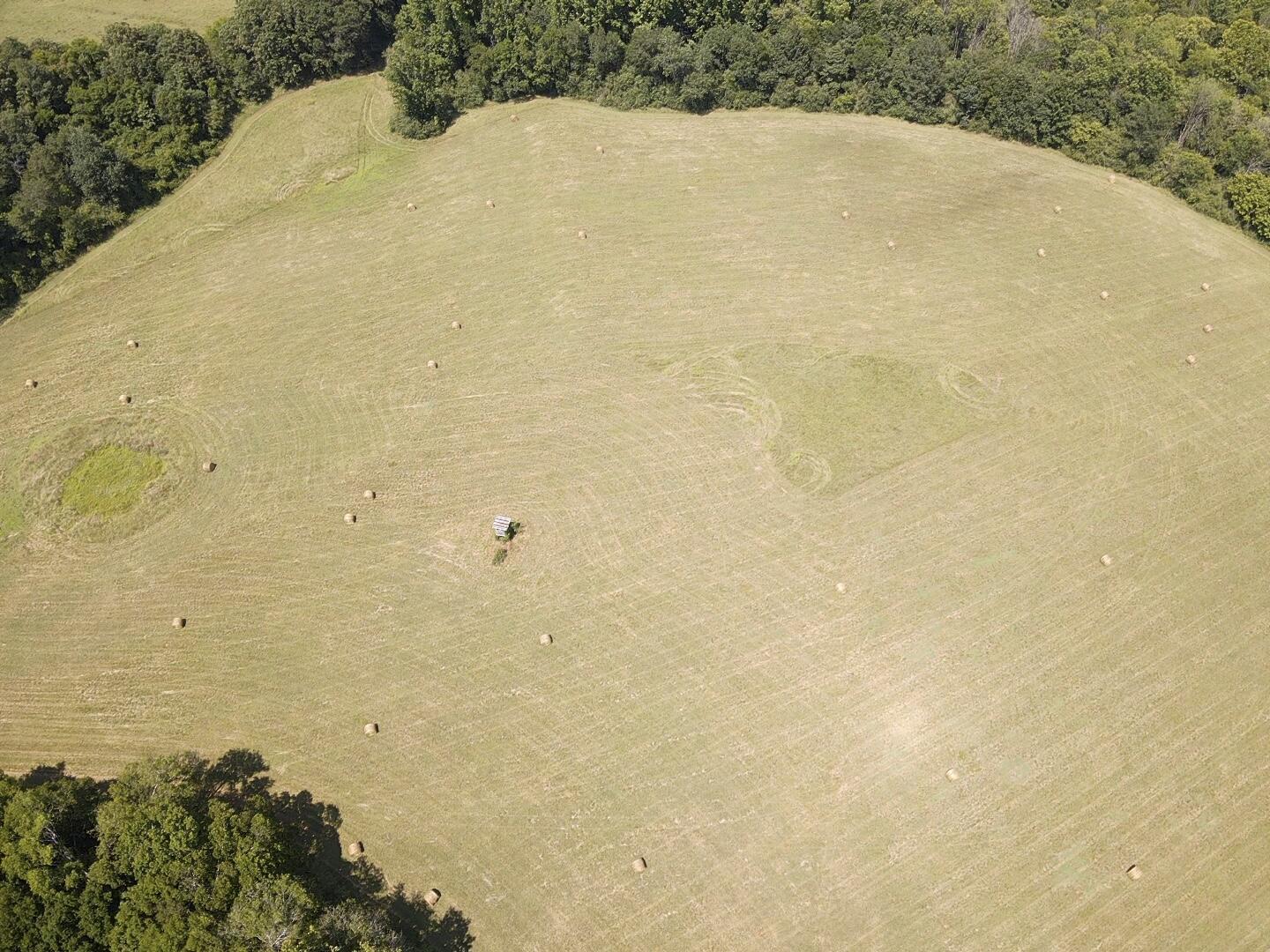 Bryant, Alabama, 35958, United States, ,Land,For Sale,1982684