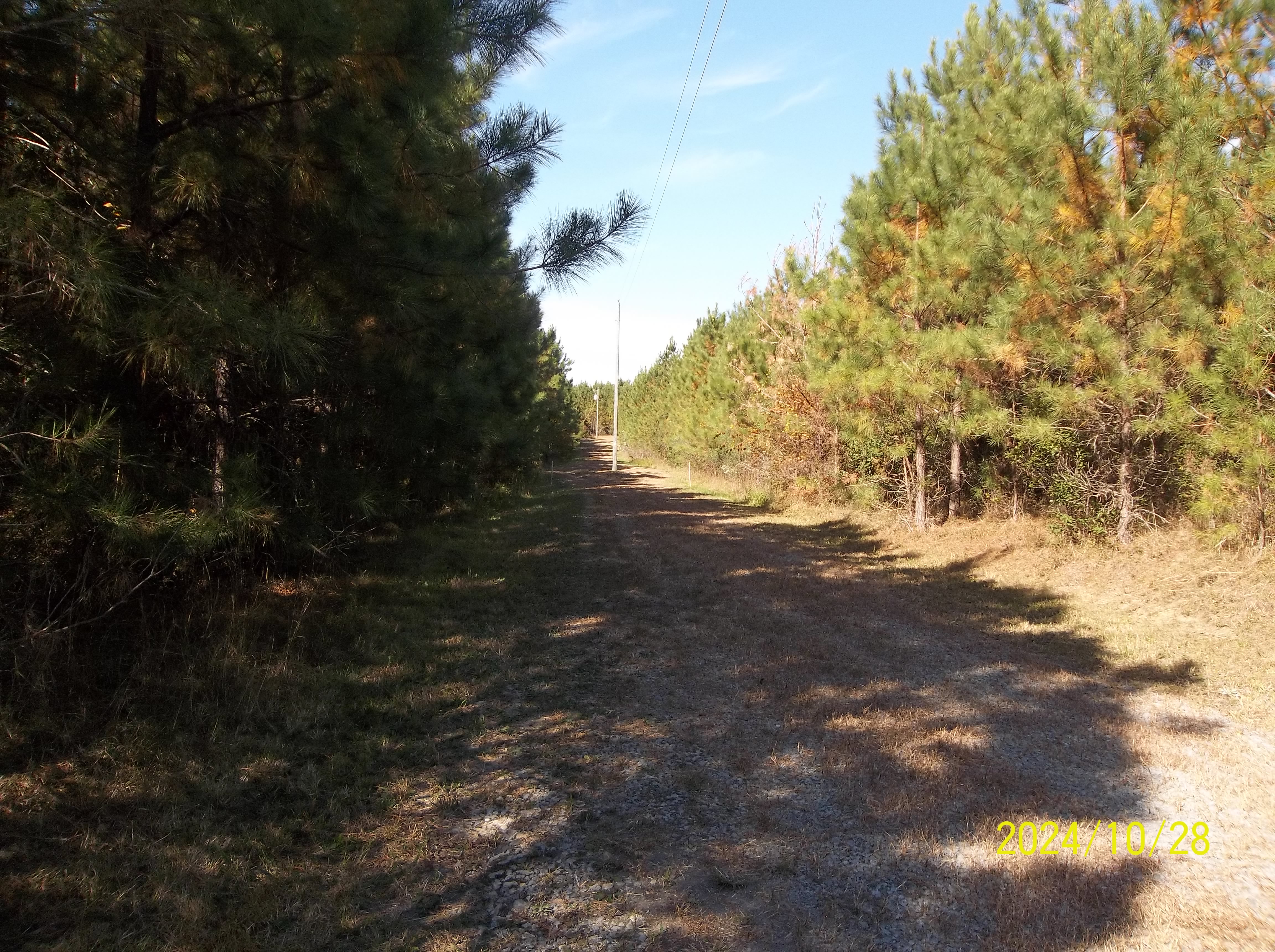 Drewryville, Virginia, 23844, United States, ,Residential,For Sale,1924271