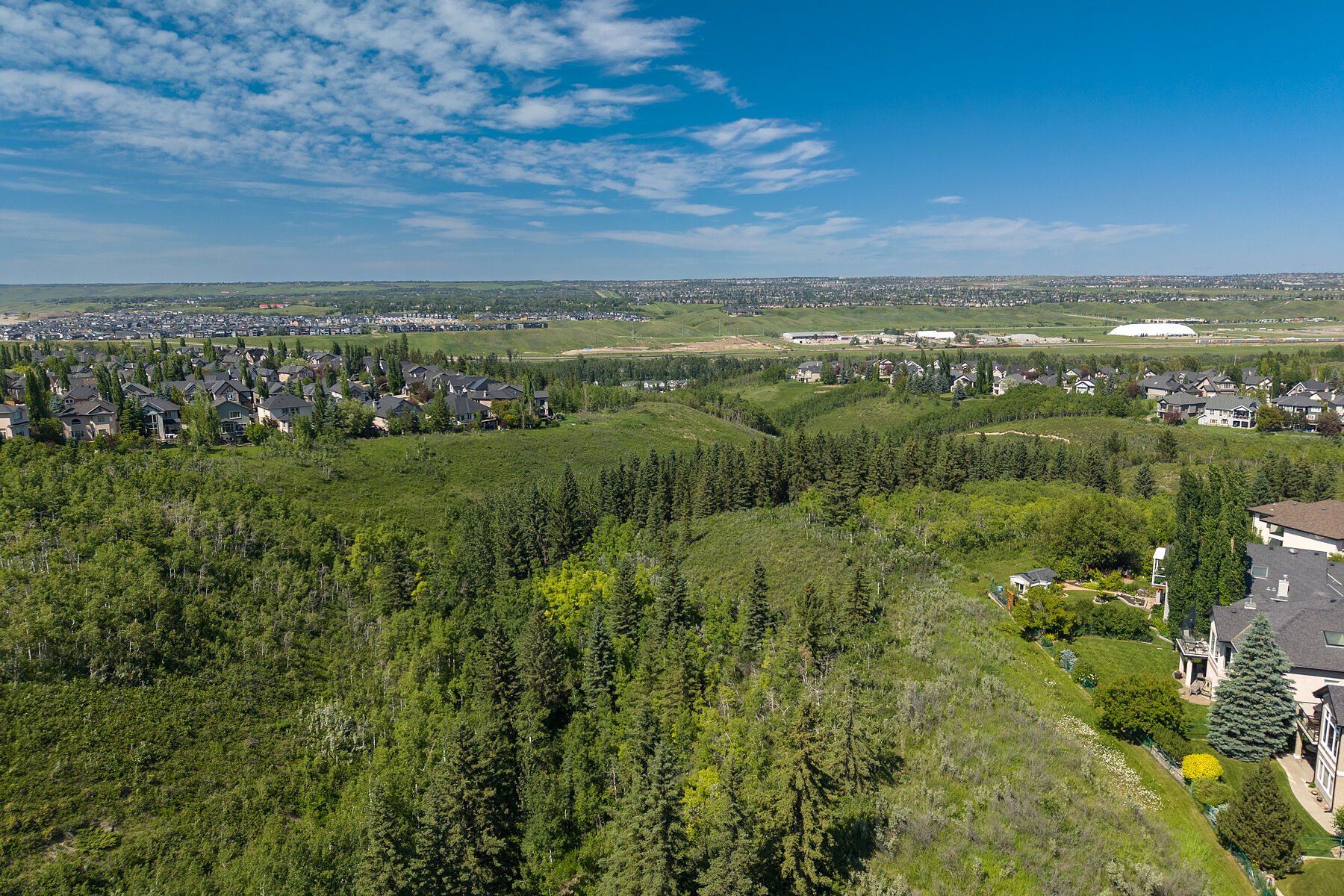  Calgary, Calgary and Foothills - 物件實景