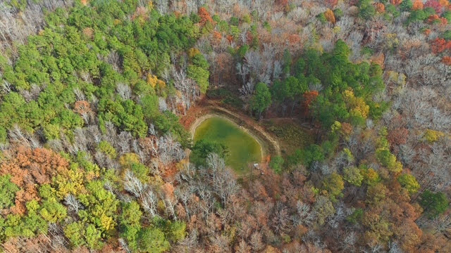 Winston, Georgia, 30187, United States, 10 Bedrooms Bedrooms, ,9 BathroomsBathrooms,Residential,For Sale,1996500