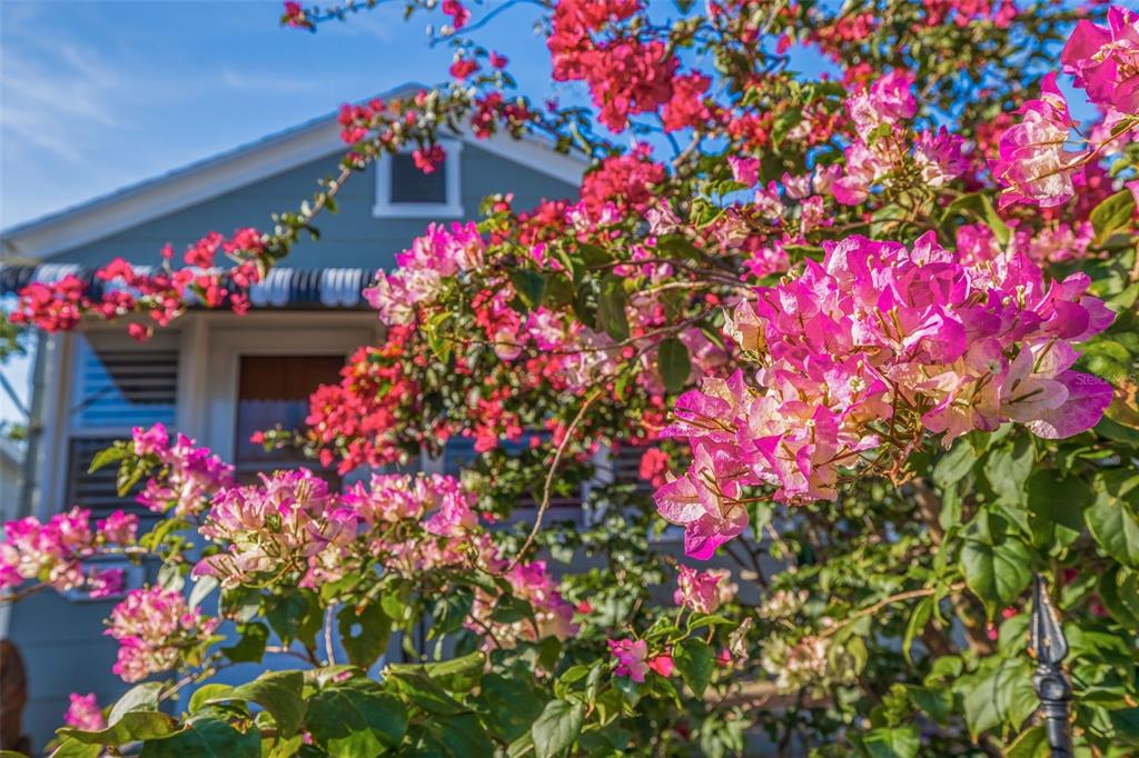 St Petersburg, Florida, 33713, United States, 2 Bedrooms Bedrooms, ,2 BathroomsBathrooms,Residential,For Sale,1768488