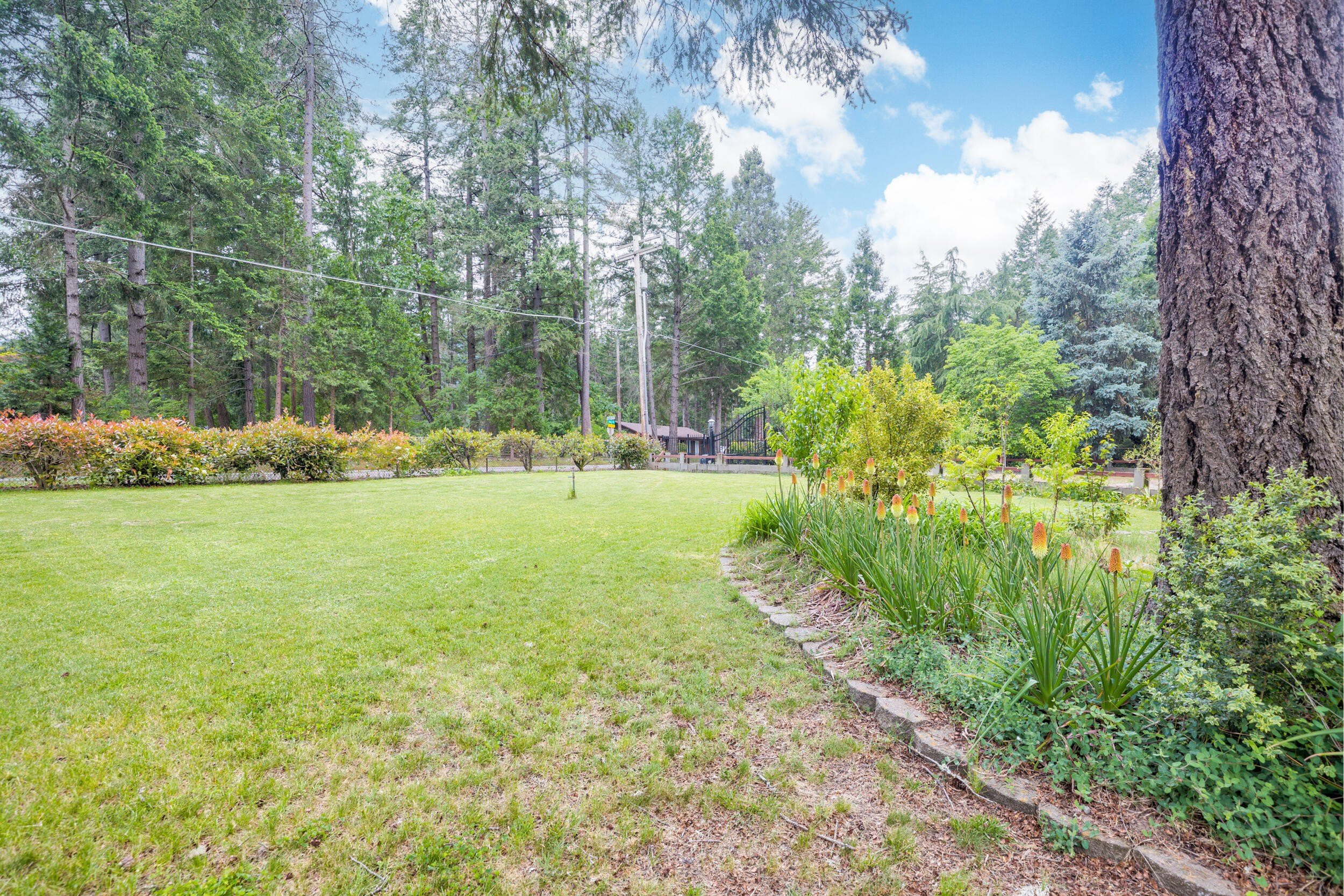 Grants Pass, Oregon, 97527, United States, 3 Bedrooms Bedrooms, ,3 BathroomsBathrooms,Residential,For Sale,1822817