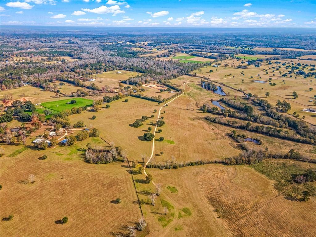 227.5 Acres Old Military (hwy 1082) Road, Bush, Louisiana, 70431, United States, ,Land,For Sale,227.5 Acres Old Military (hwy 1082) Road,1434121