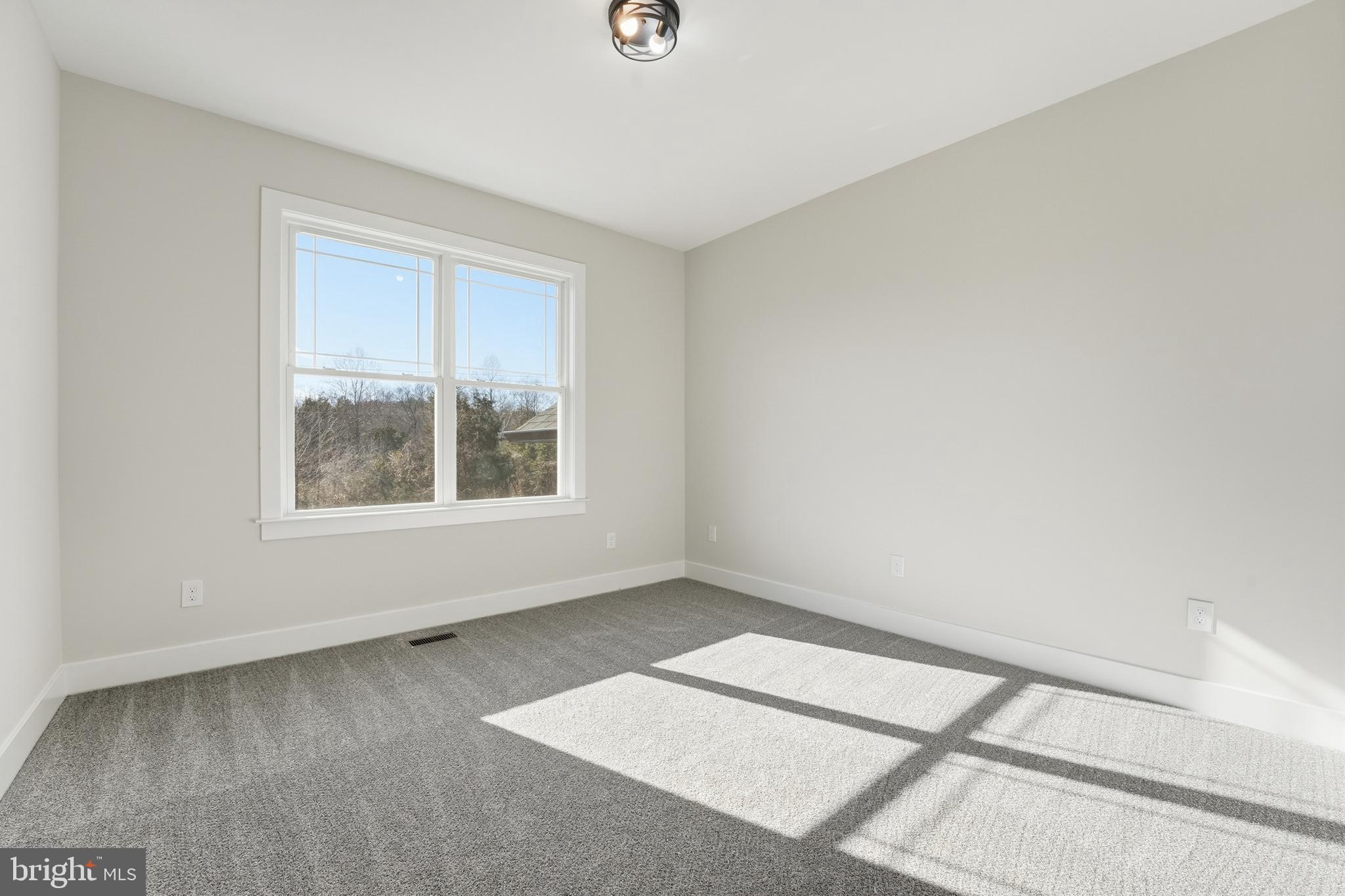 Richardsville, Virginia, 22736, United States, 4 Bedrooms Bedrooms, ,3 BathroomsBathrooms,Residential,For Sale,2005626