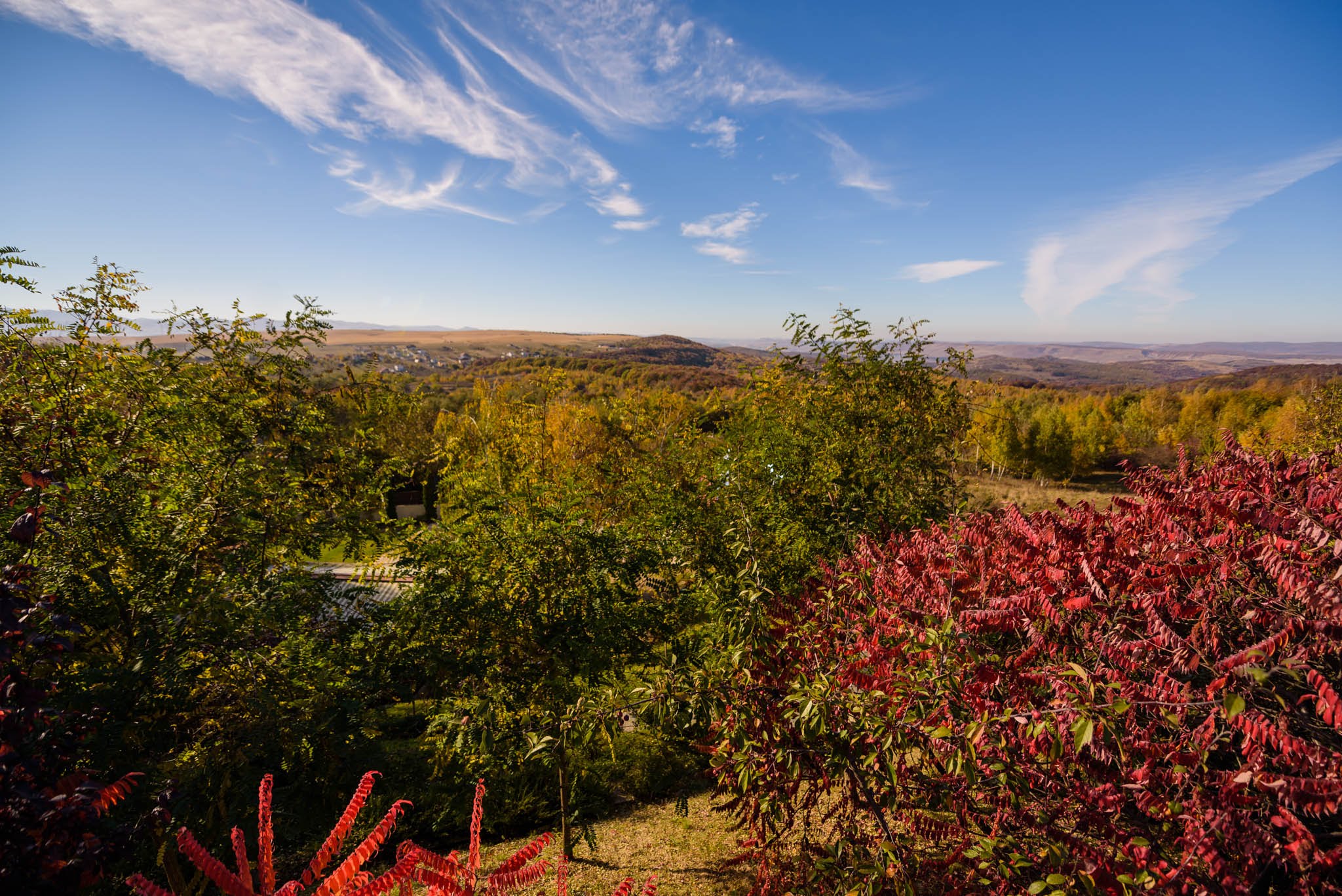  Wellness & Hospitality near Cluj-Napoca - 物件實景