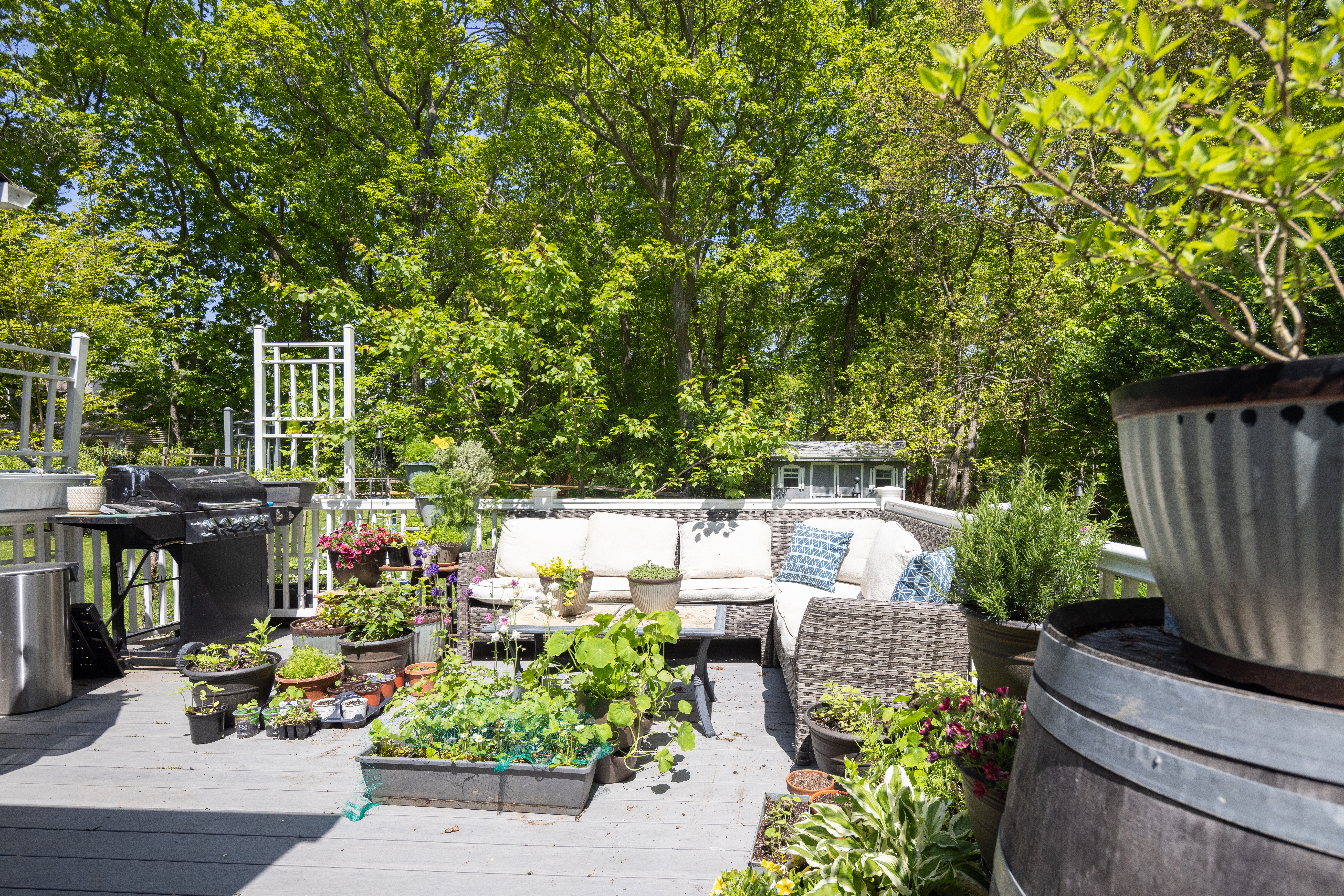  16 Bowditch Road, Shelter Island, NY, 11964 - 物件實景