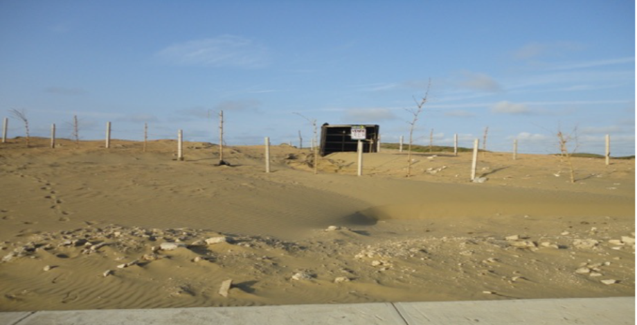 Coatzacoalcos, Veracruz de Ignacio de la Llave, 96536, Mexico, 1 Bedroom Bedrooms, ,Residential,For Sale,1917728