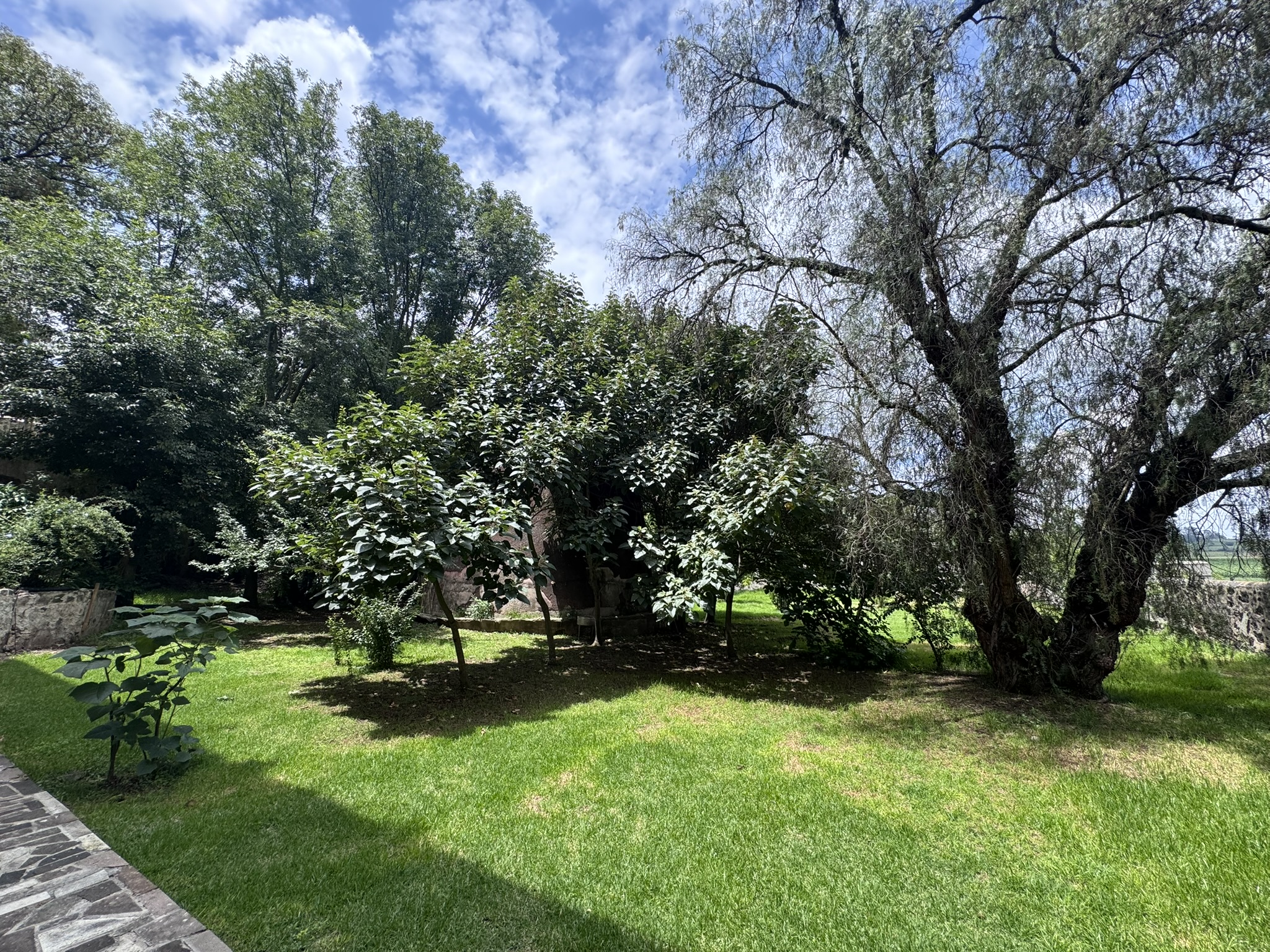  RANCHO EL MOLINO - 物件實景