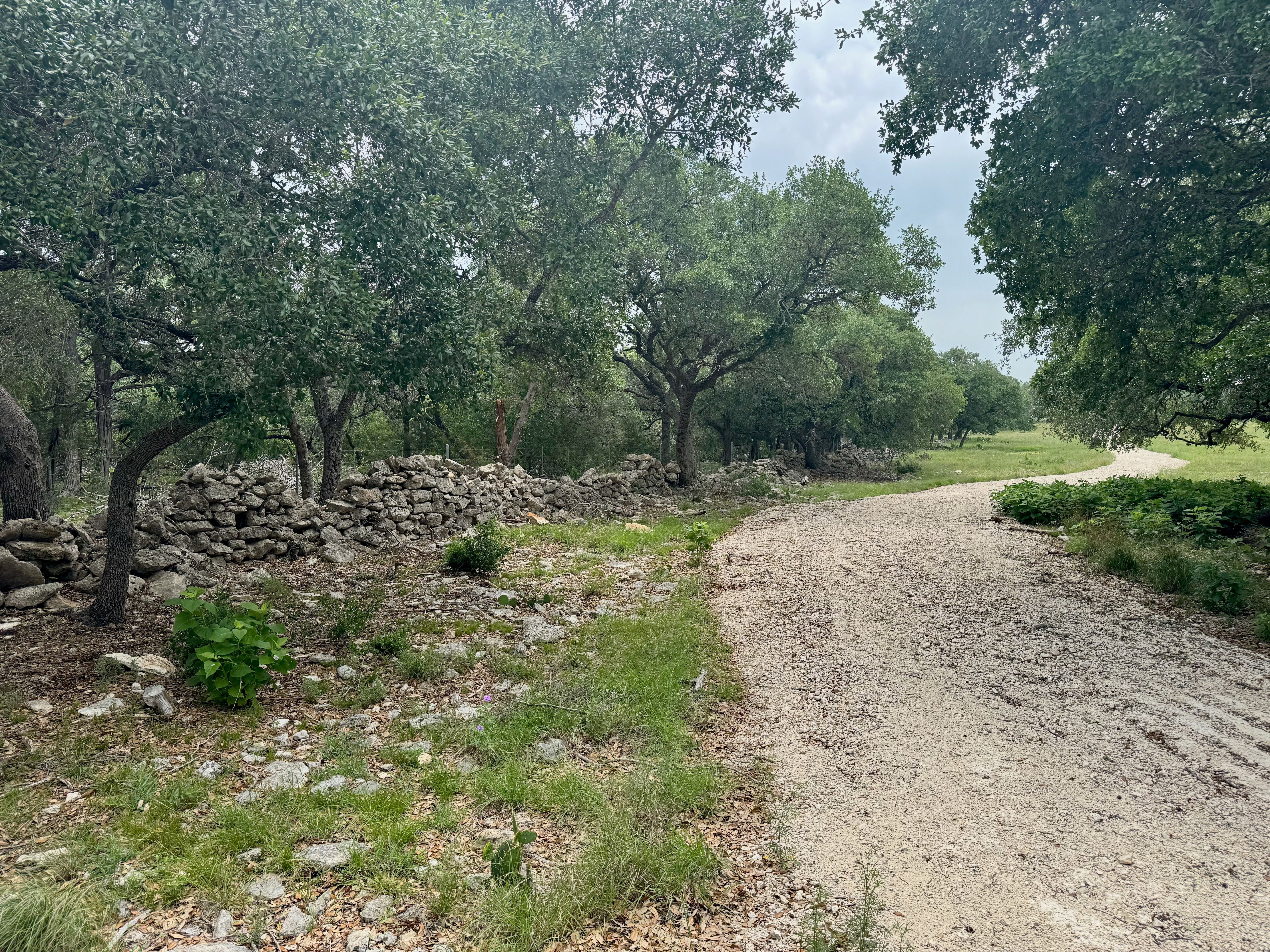  Rolling Oaks Ranch: The Pinnacle of Private Estate Living - 物件實景