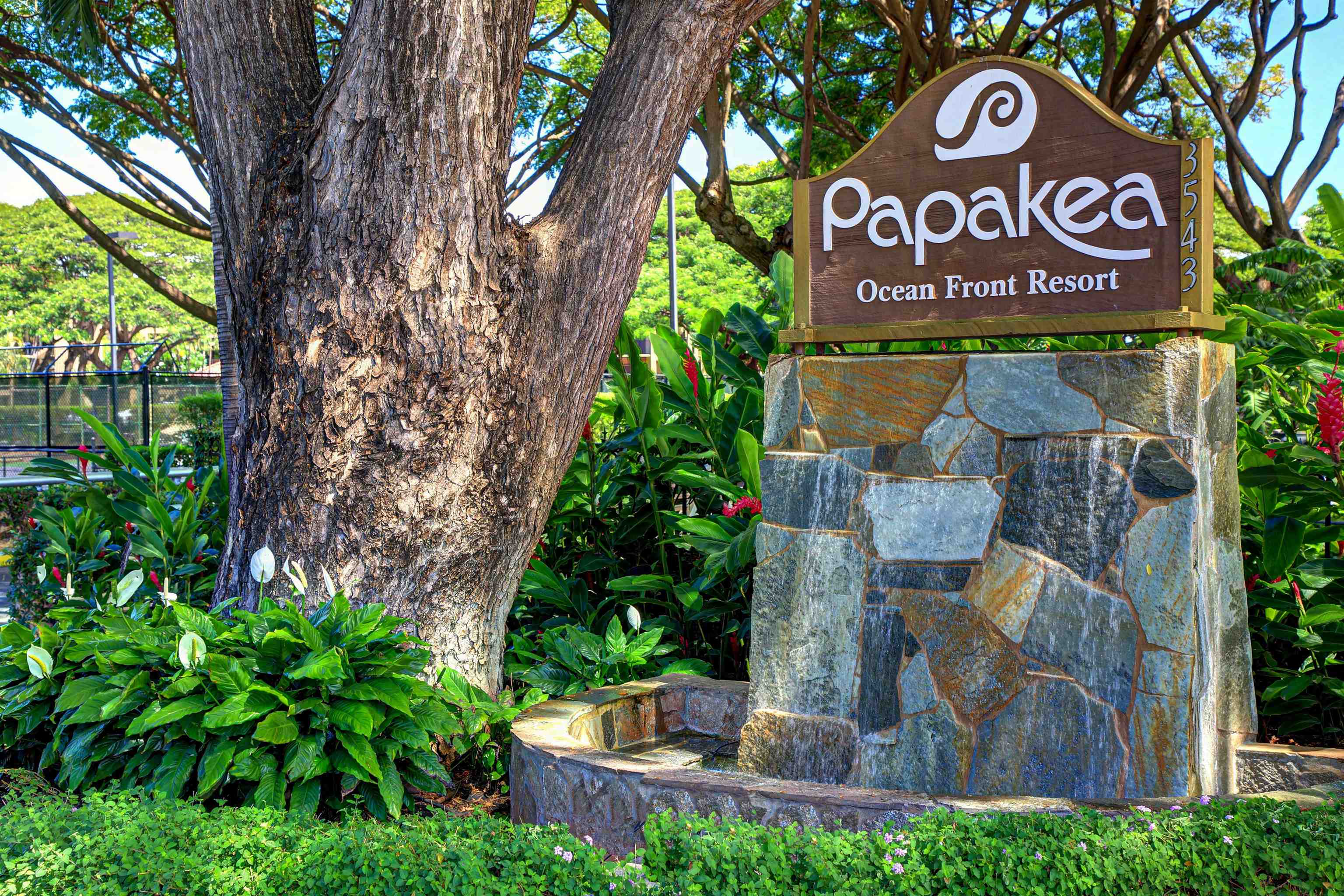 Lahaina, Hawaii, 96761, United States, 1 Bedroom Bedrooms, ,1 BathroomBathrooms,Residential,For Sale,1927239