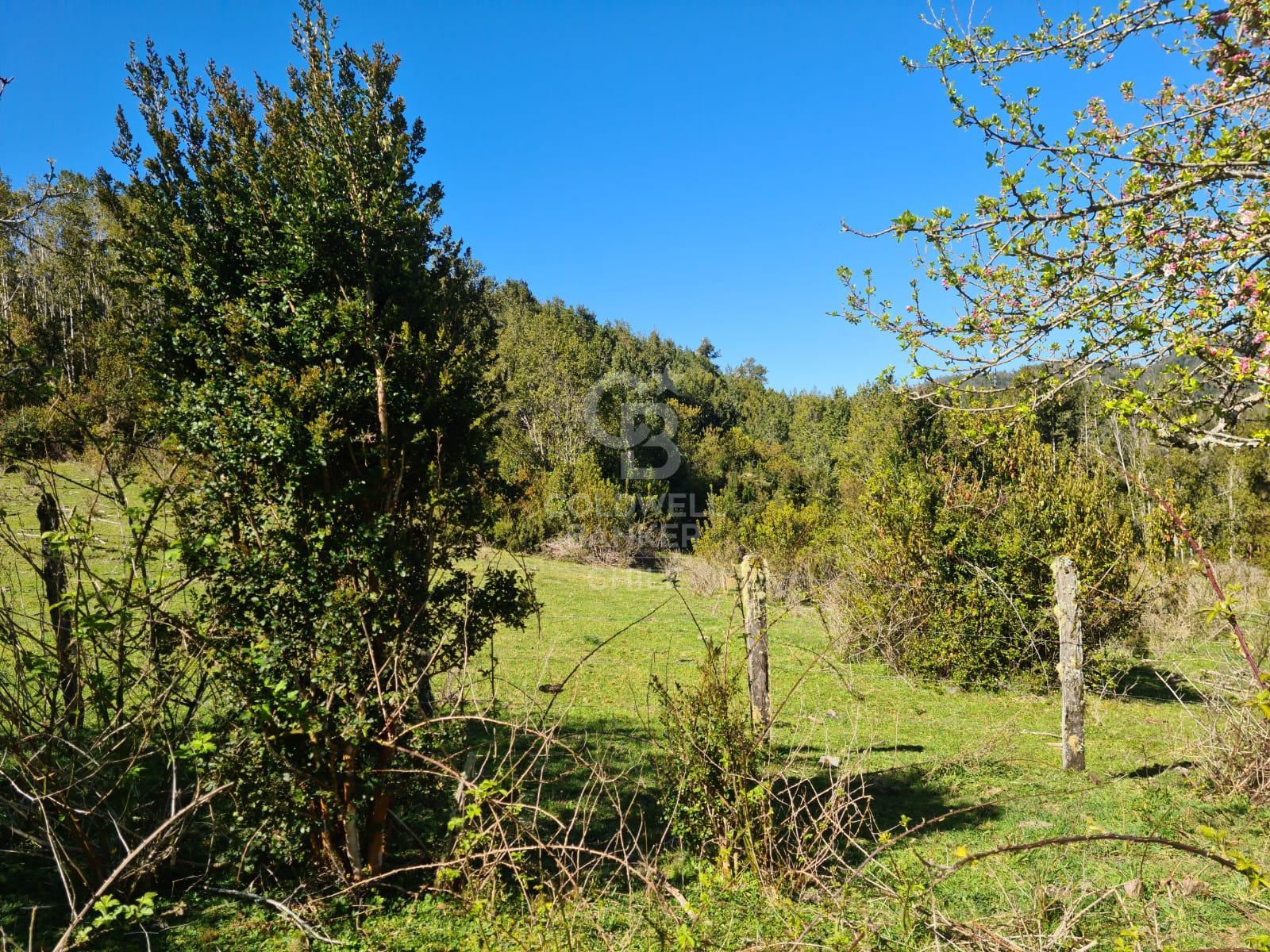 Fresia, Chile, ,Residential,For Sale,1913252