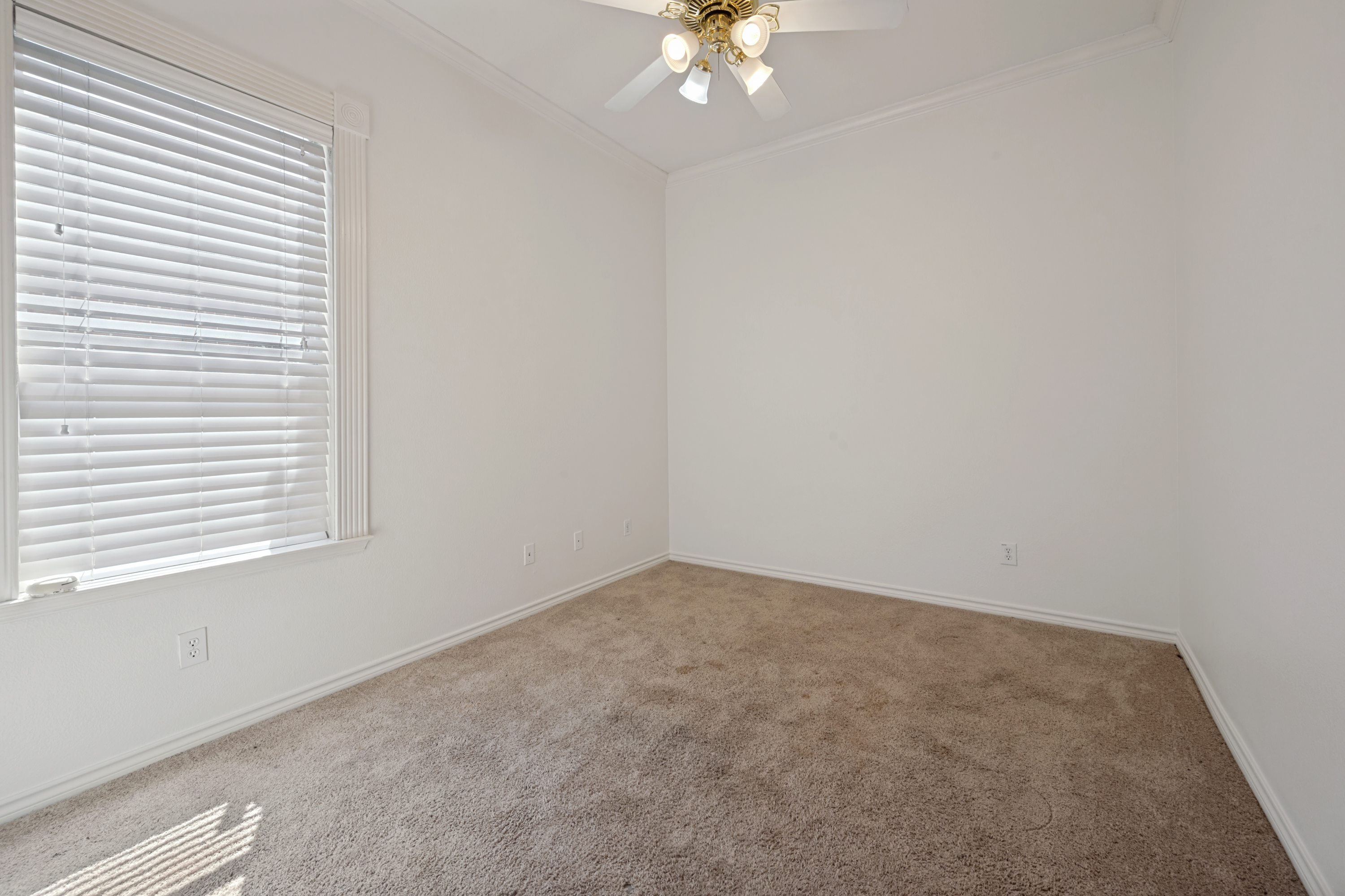 4804 Grapevine Terrace, Fort Worth, TX, 76123 - 物件實景