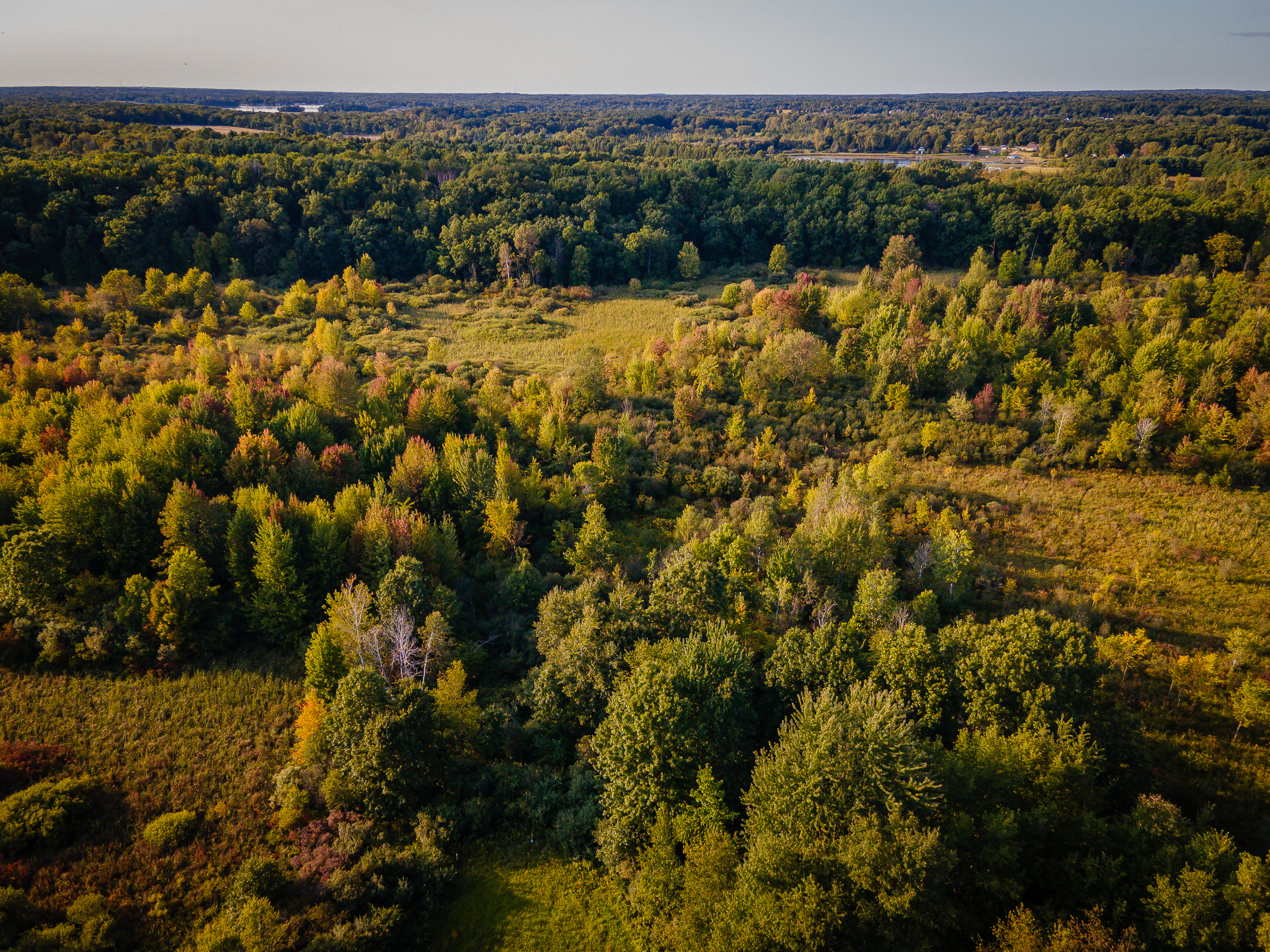 Jackson, Michigan, 49201, United States, 4 Bedrooms Bedrooms, ,2 BathroomsBathrooms,Residential,For Sale,1981022