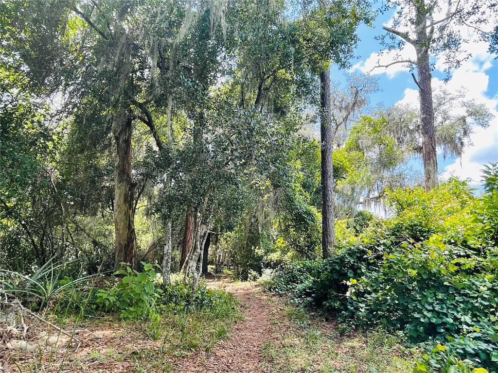 460 CLARK HILL ROAD, OSTEEN, Florida, 32764, United States, 4 Bedrooms Bedrooms, ,3 BathroomsBathrooms,Residential,For Sale,460 CLARK HILL ROAD,1445755