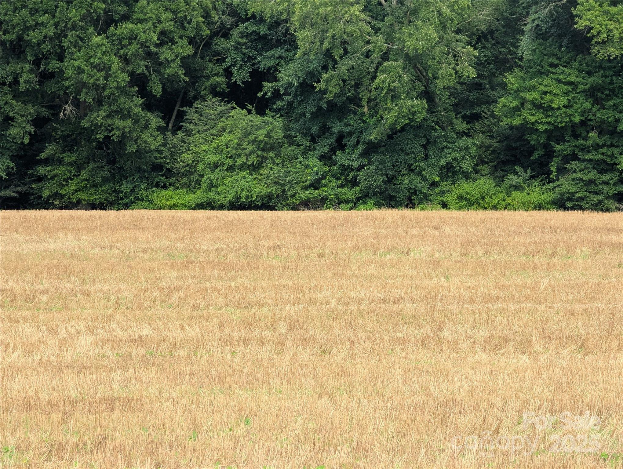 Polkton, North Carolina, 28135, United States, ,Land,For Sale,1976298